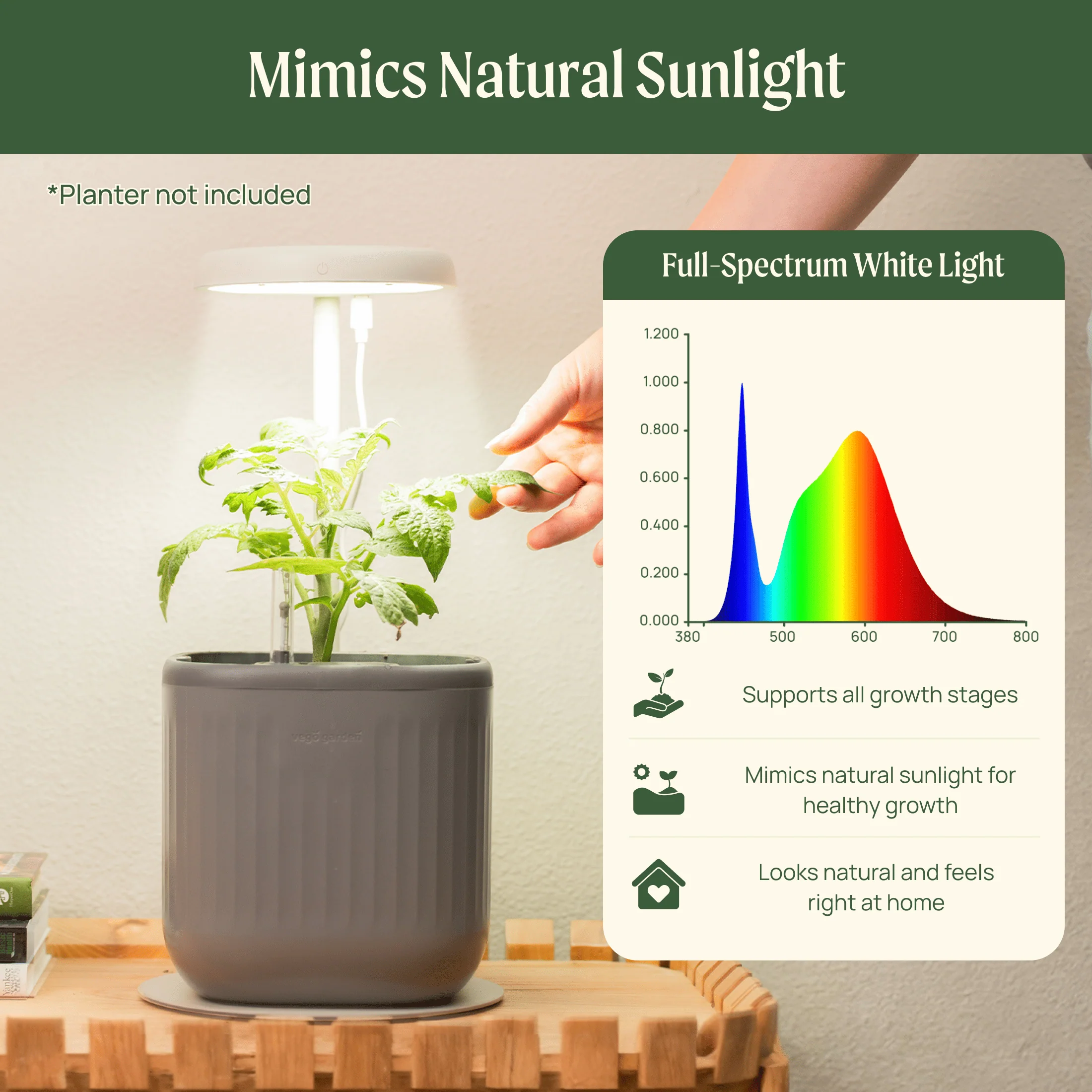 Grow Light Stand - Mini - Image 3