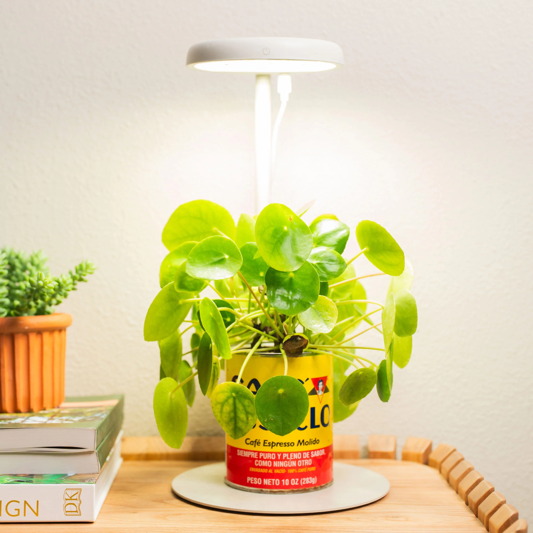 Grow Light Stand - Mini - Image 9