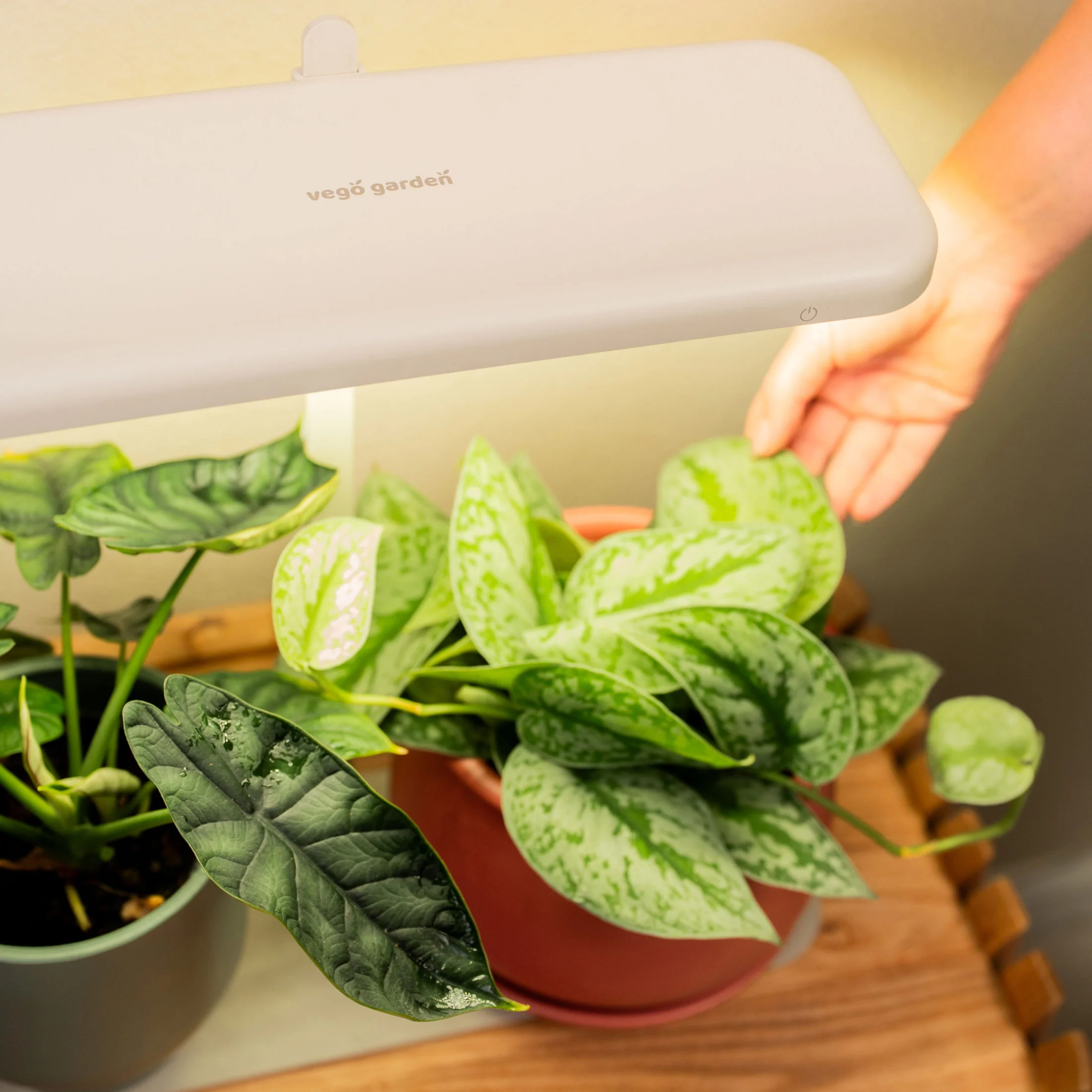 Grow Light Stand - Starter - Image 11