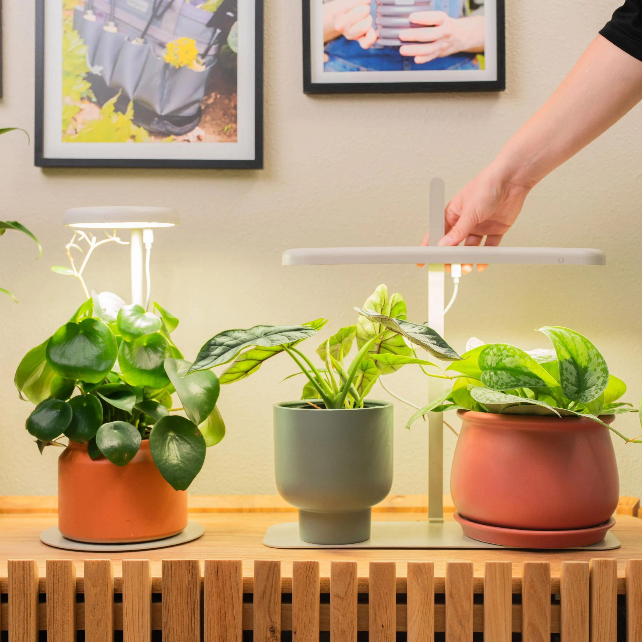 Grow Light Stand - Starter - Image 12