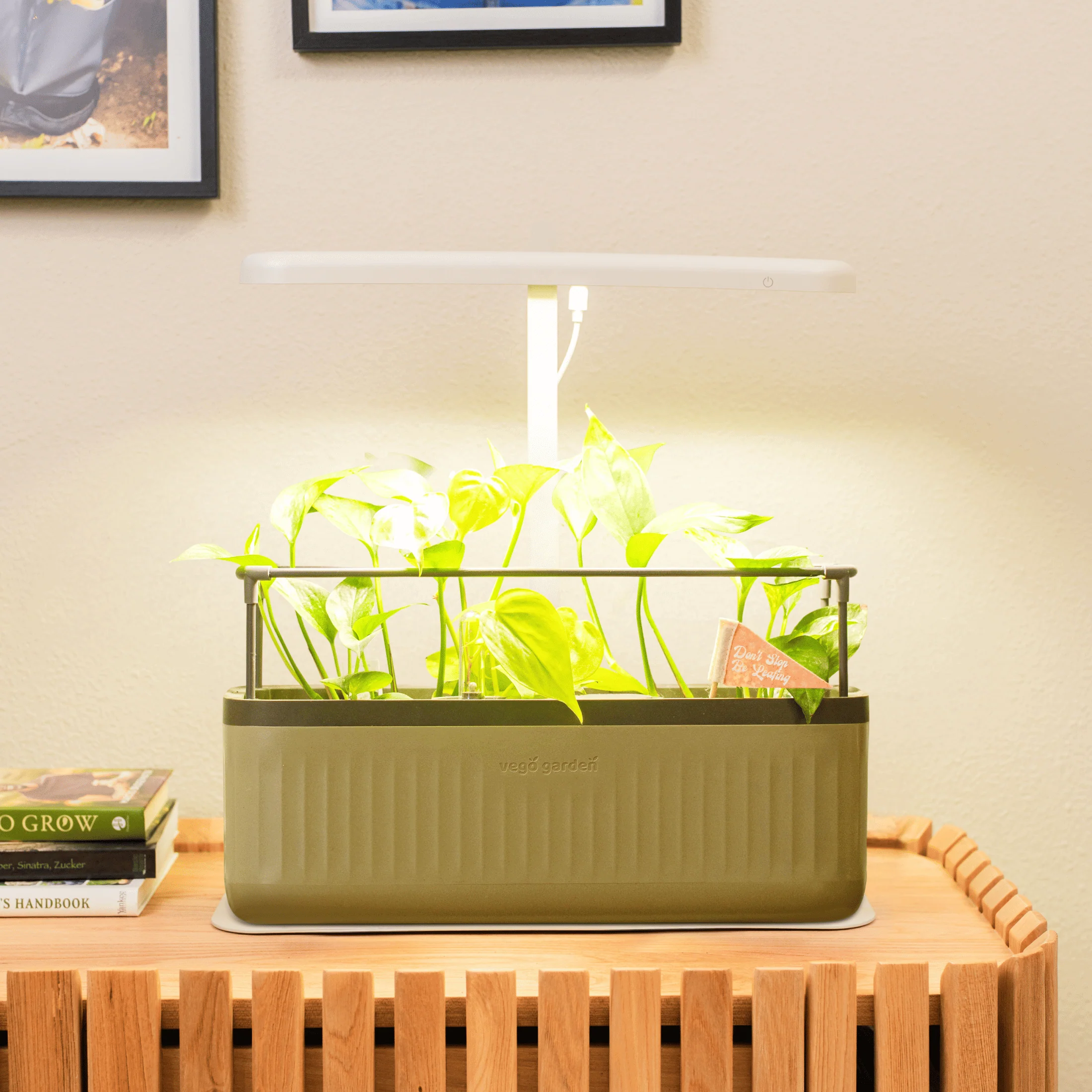 Grow Light Stand - Starter - Image 8