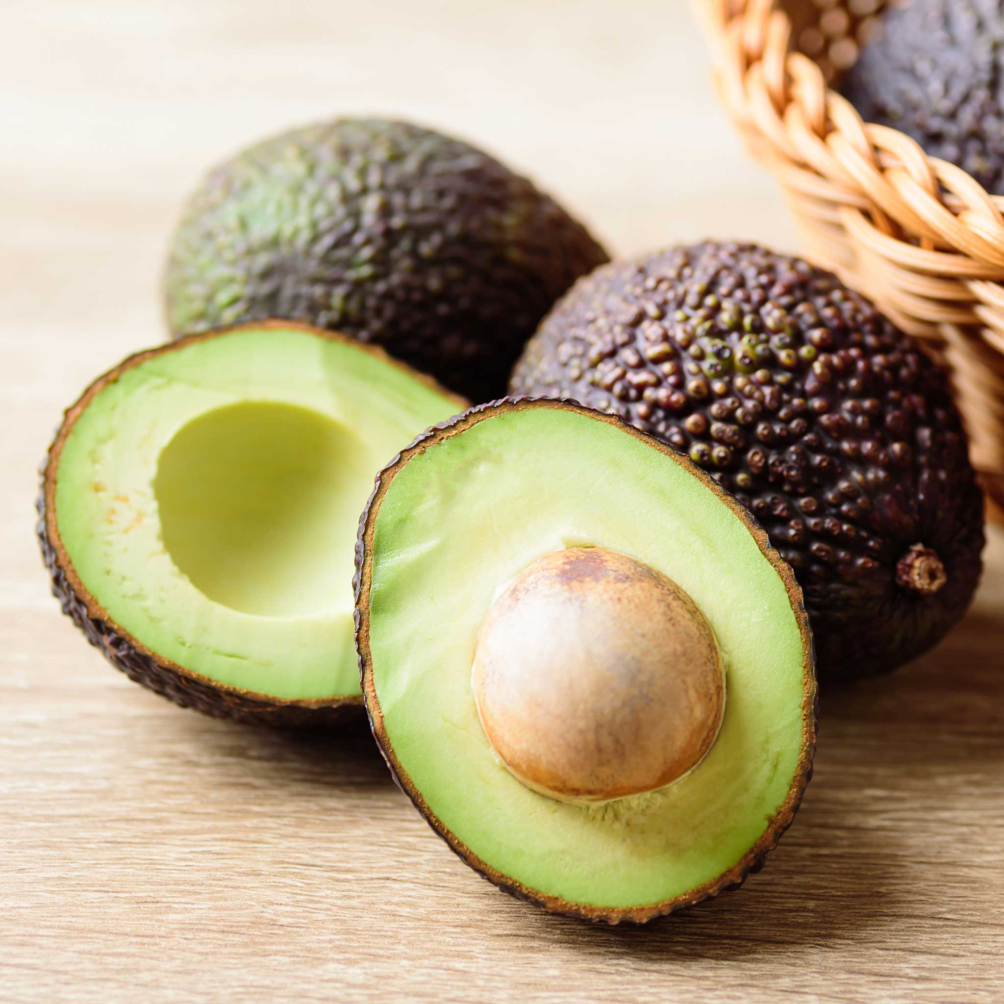 Hass Avocado Tree - Image 2