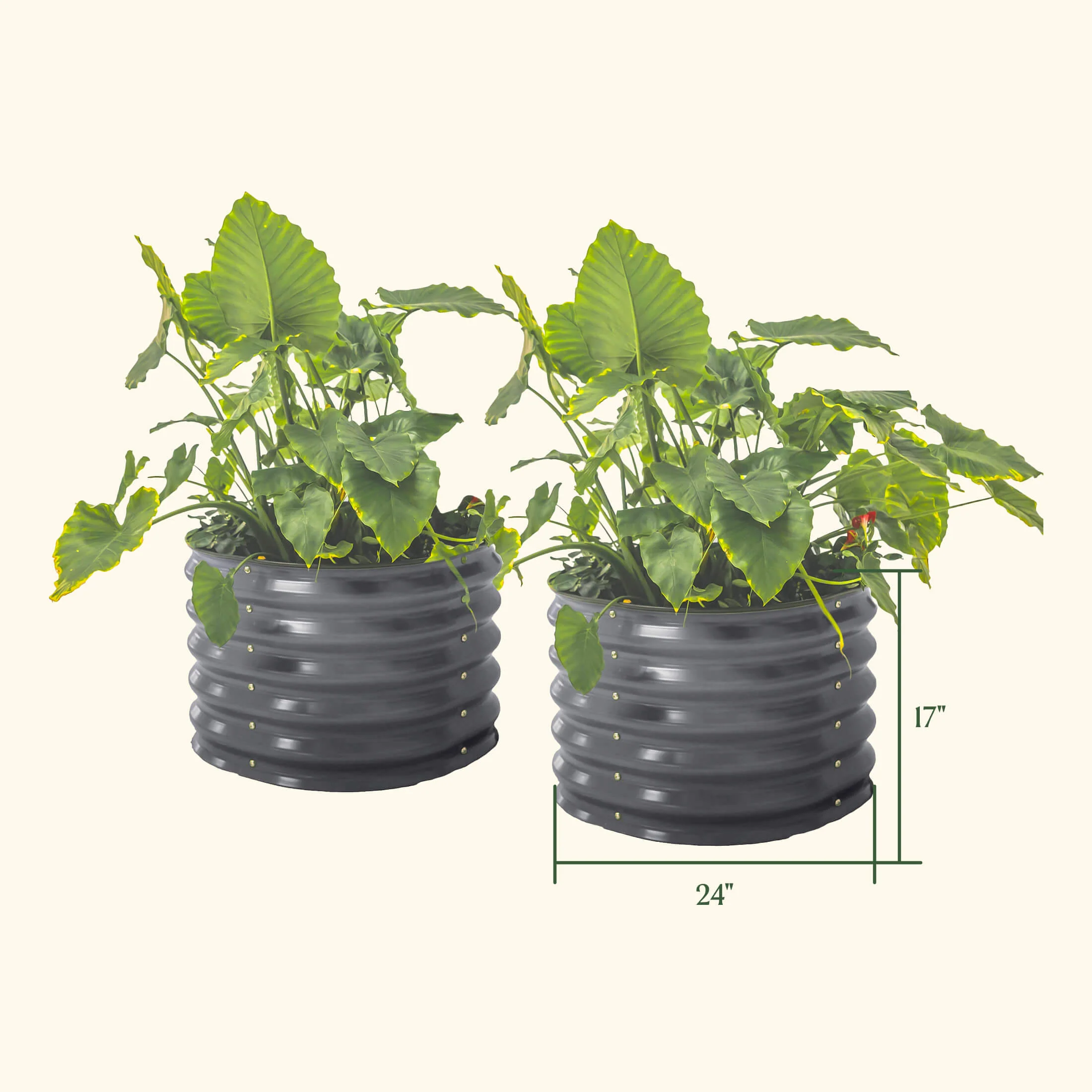 17" Tall Herb Garden Bed 24" Wide - Twin Pack - Image 5