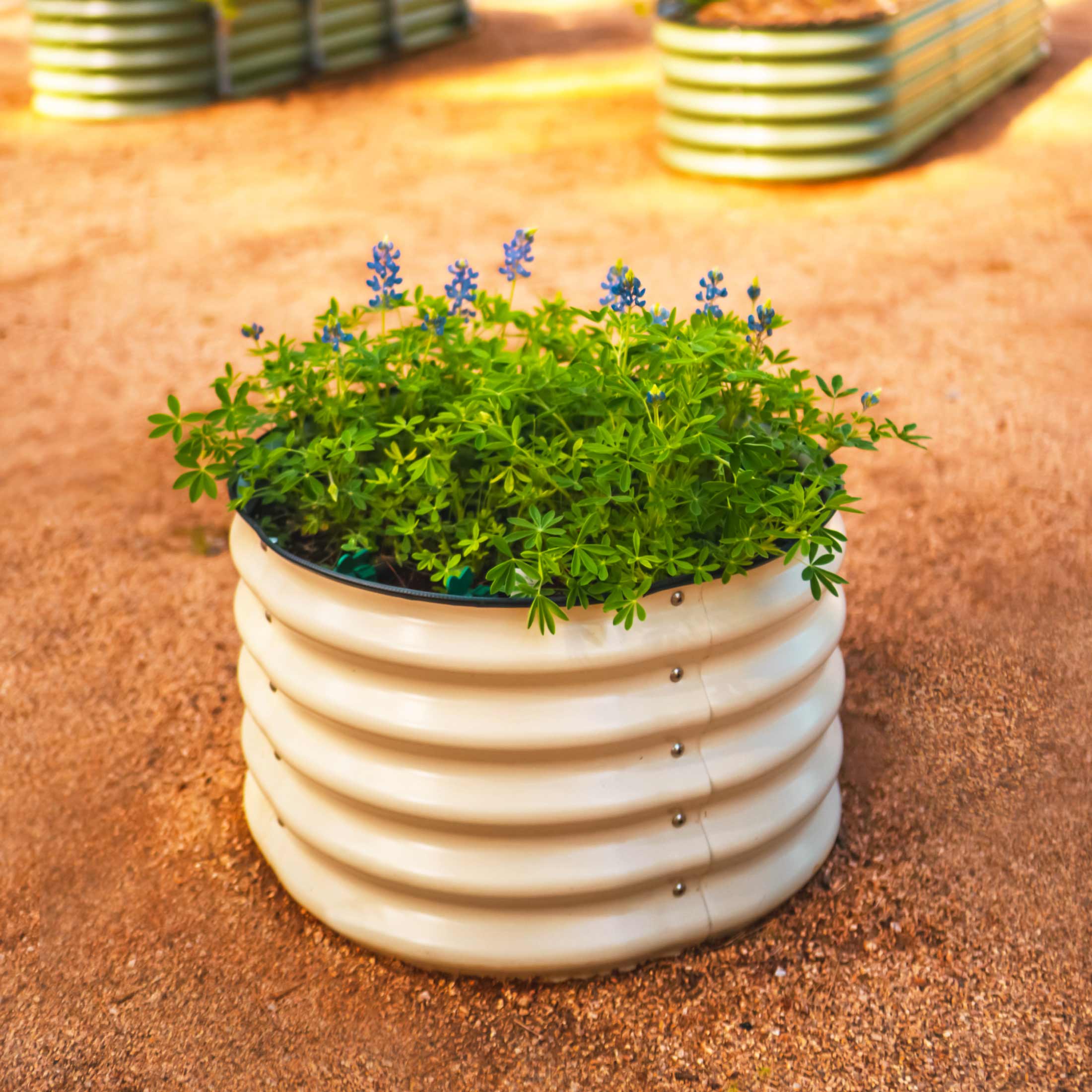17" Tall Herb Garden Bed 24" Wide - Twin Pack - Image 7