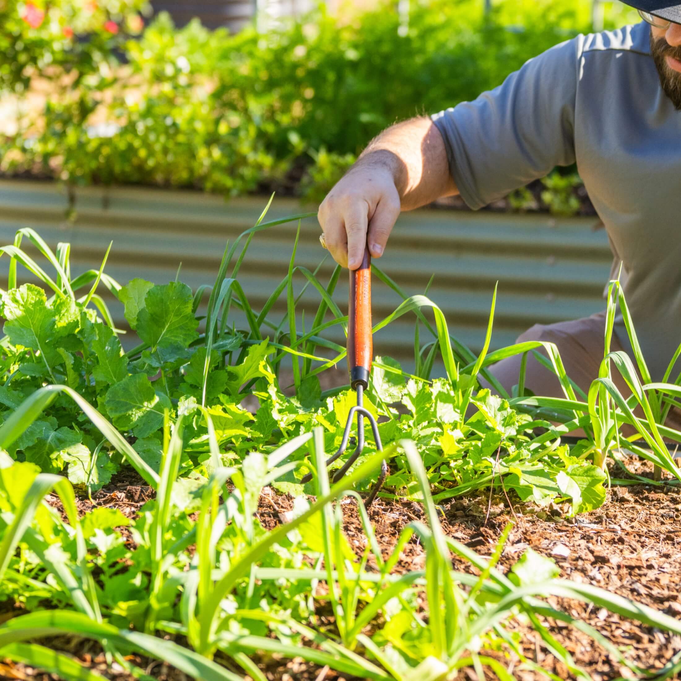 Heritage Garden Bed Cultivator - Image 7