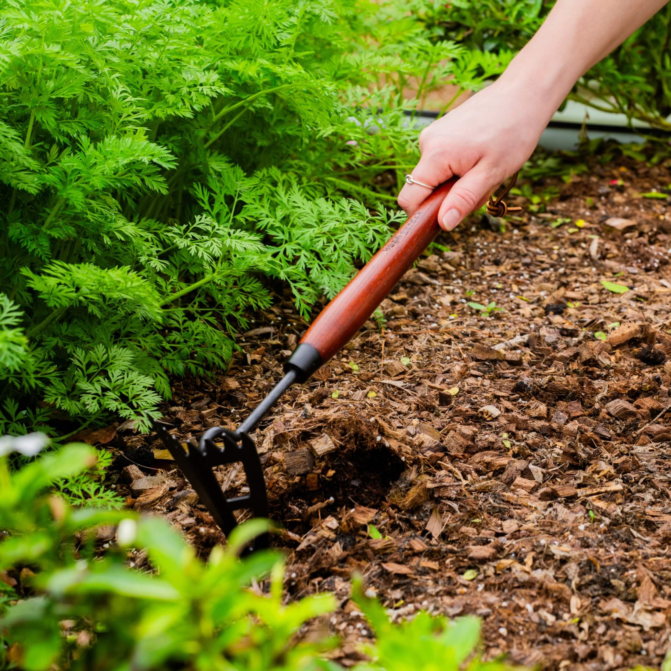Heritage Garden Bed Multi-Function Hoe - Image 6