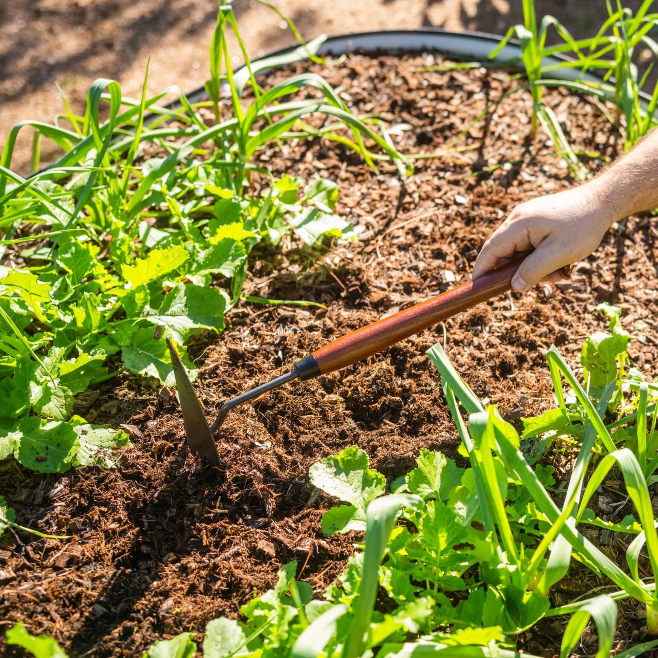 Heritage Garden Bed Multi-Function Hoe - Image 7