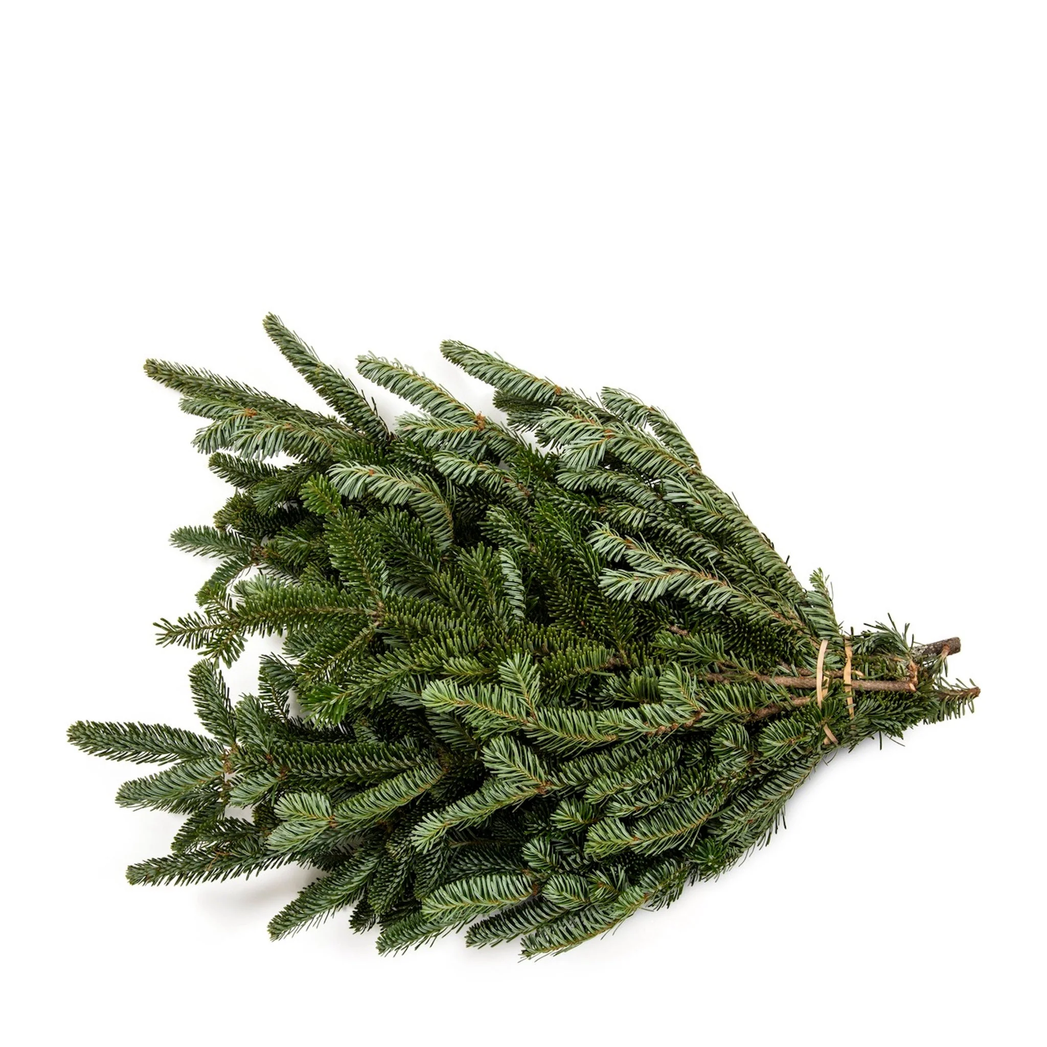 Holiday Bough Bundles - Image 3