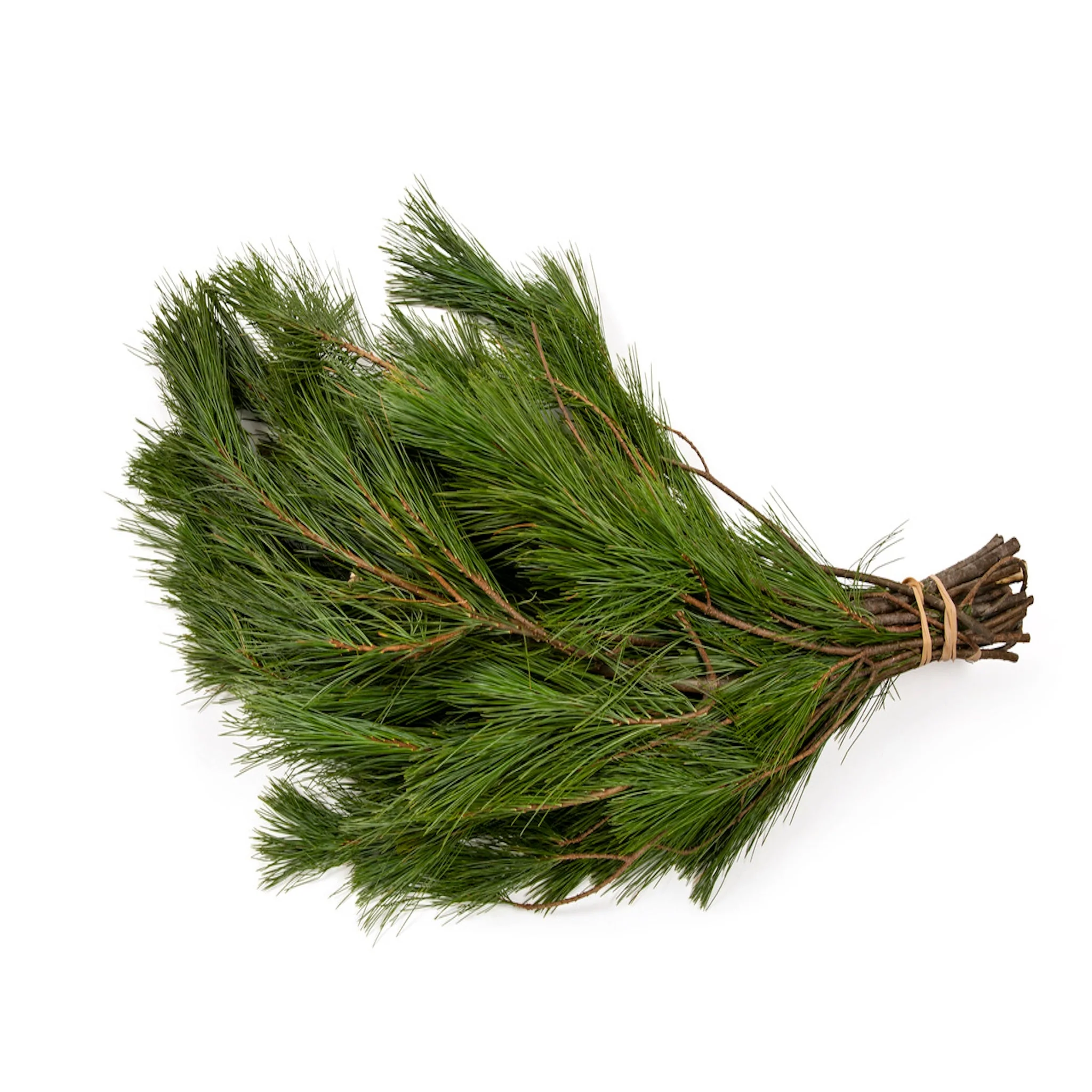 Holiday Bough Bundles - Image 5