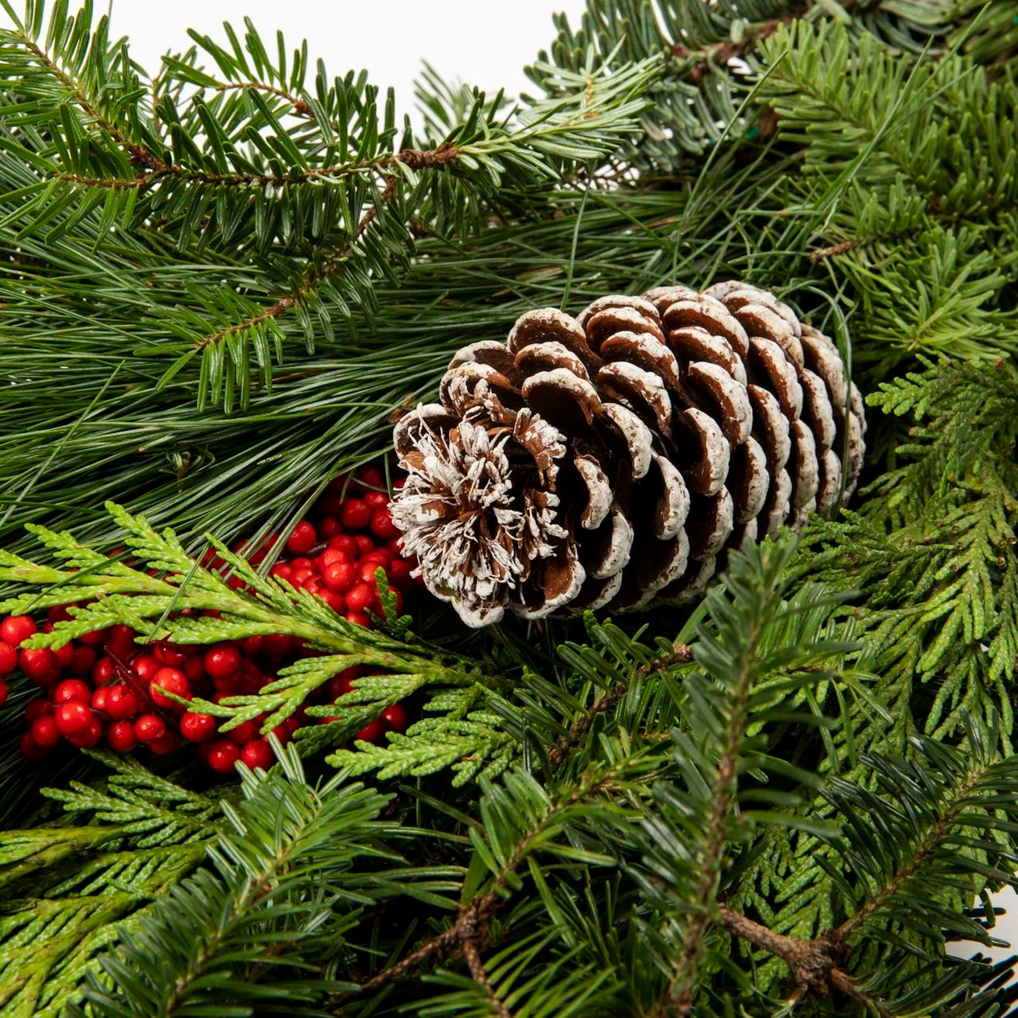 Holiday Bough Bundles - Image 8