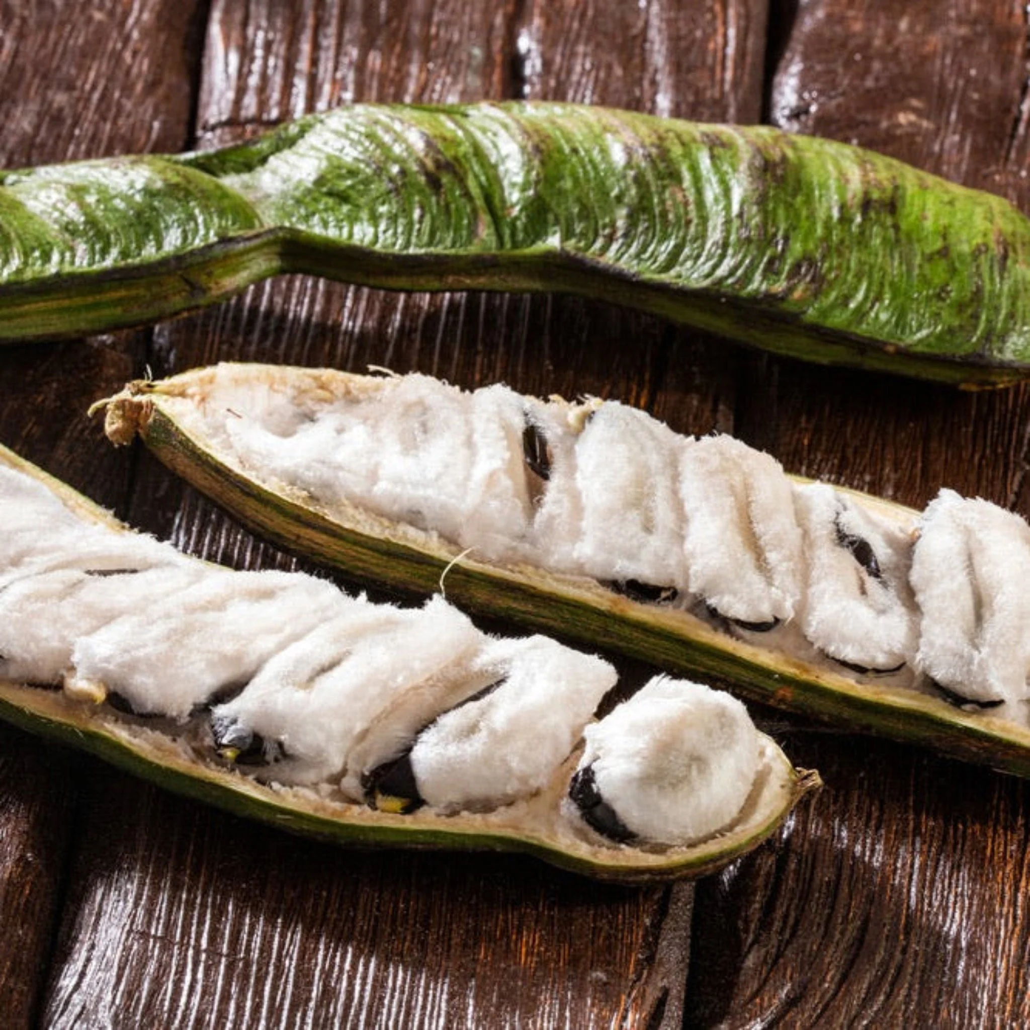 Ice Cream Bean Tree - Image 2