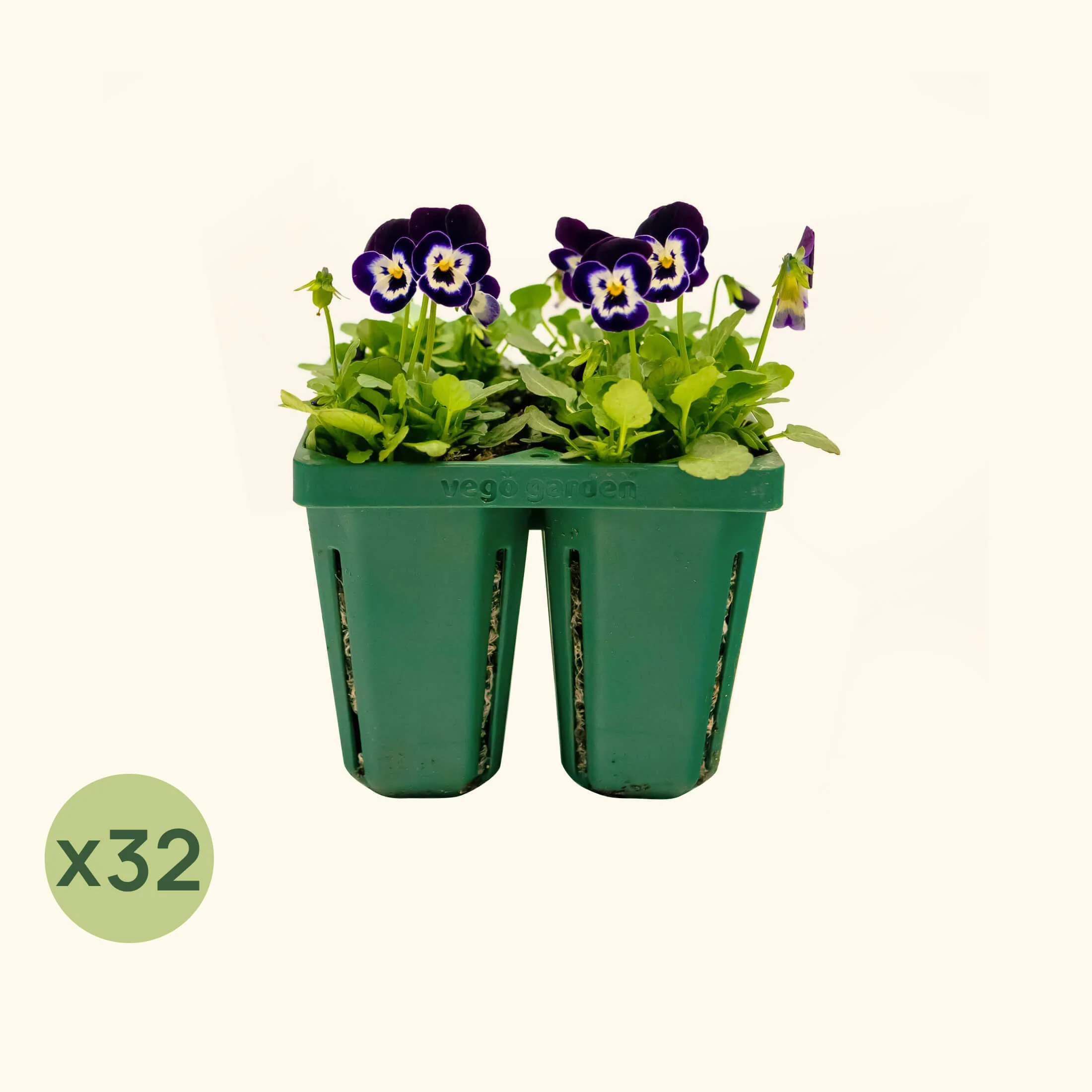 Jumbo Seedling Tray - 5" x 5" - Image 10