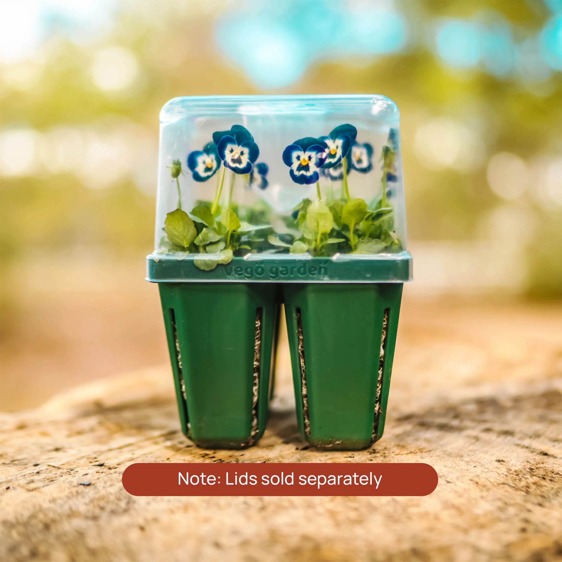 Jumbo Seedling Tray - 5" x 5" - Image 5
