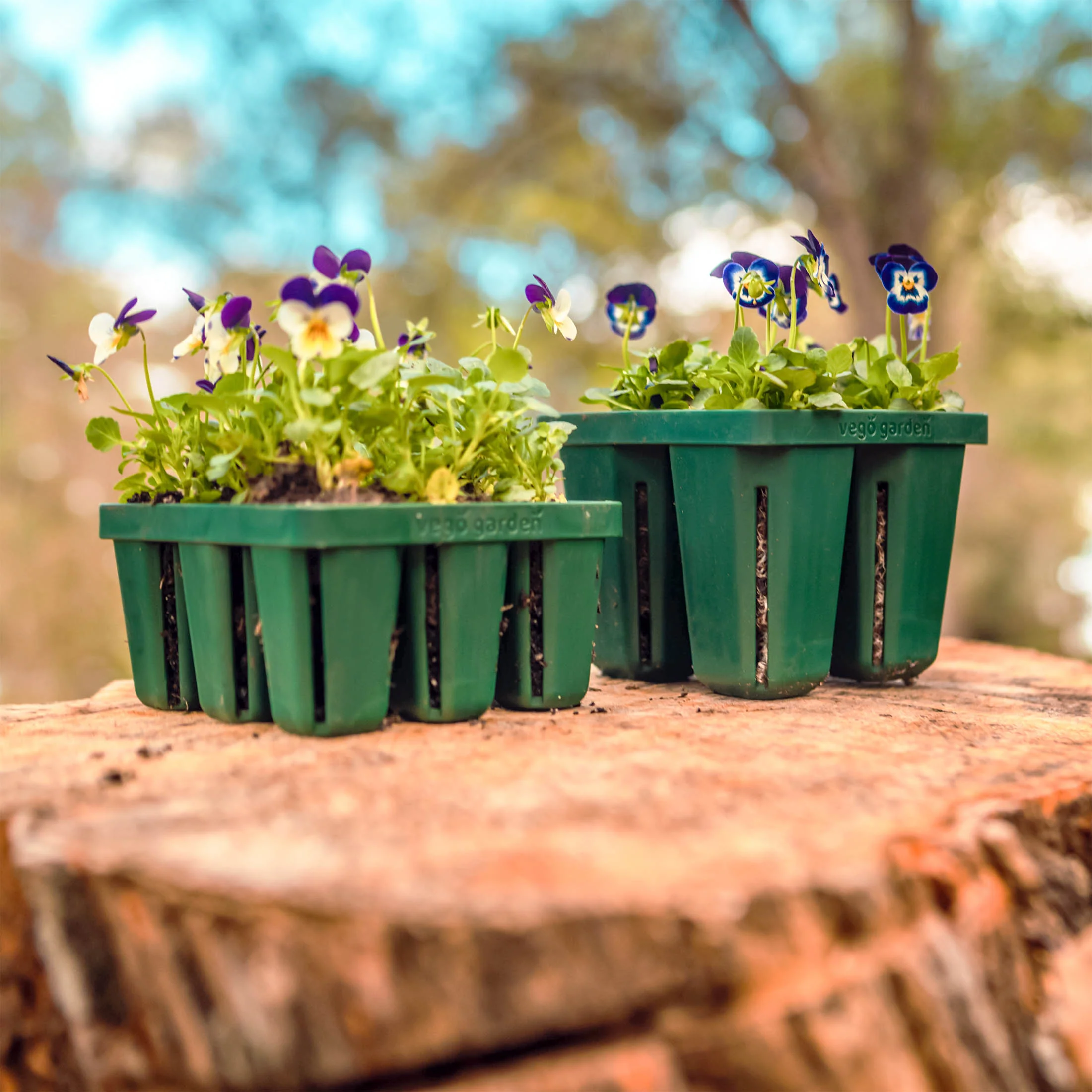 Jumbo Seedling Tray - 5" x 5" - Image 6