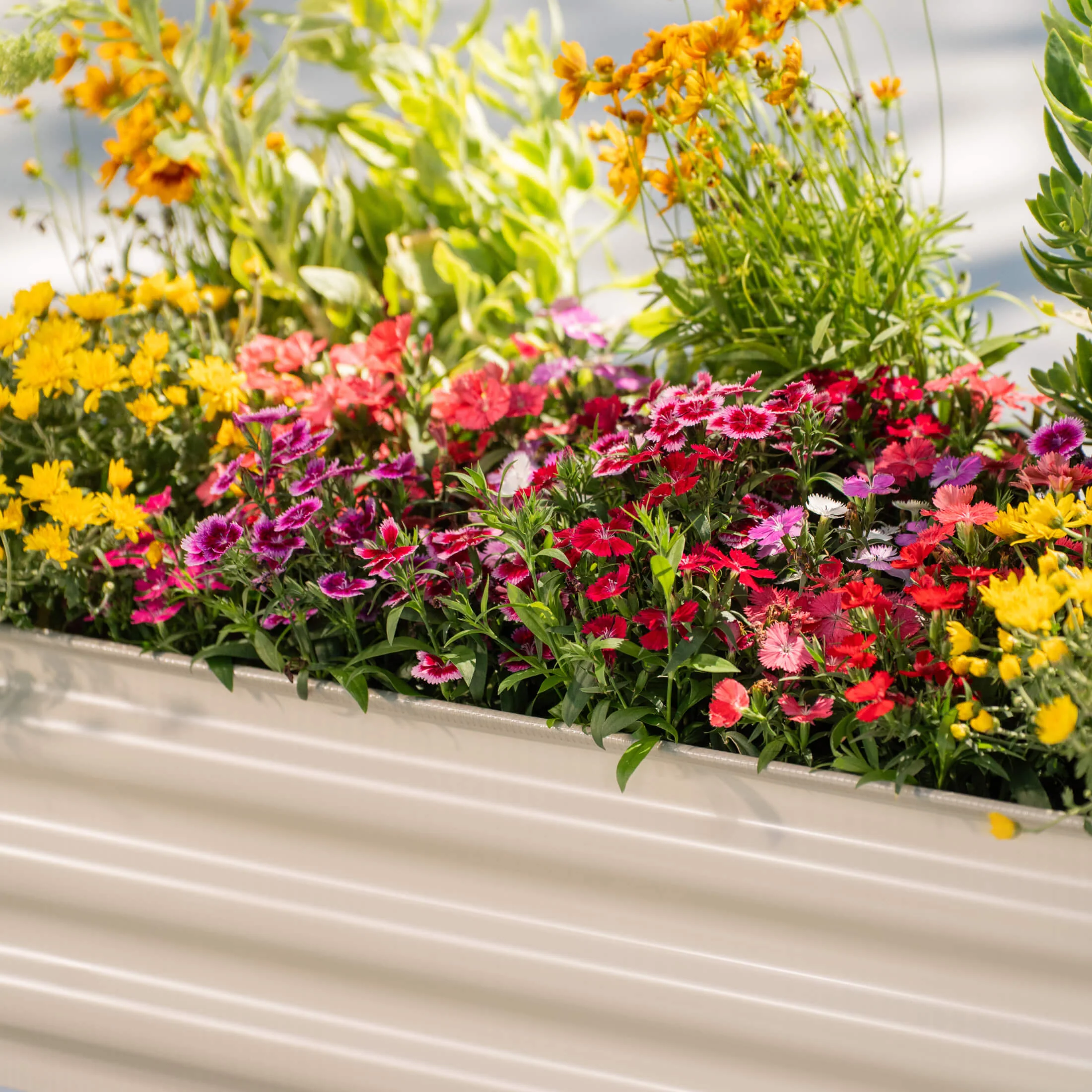 Kids First Elevated Garden Bed - 1.3' x 3.0' - Image 11