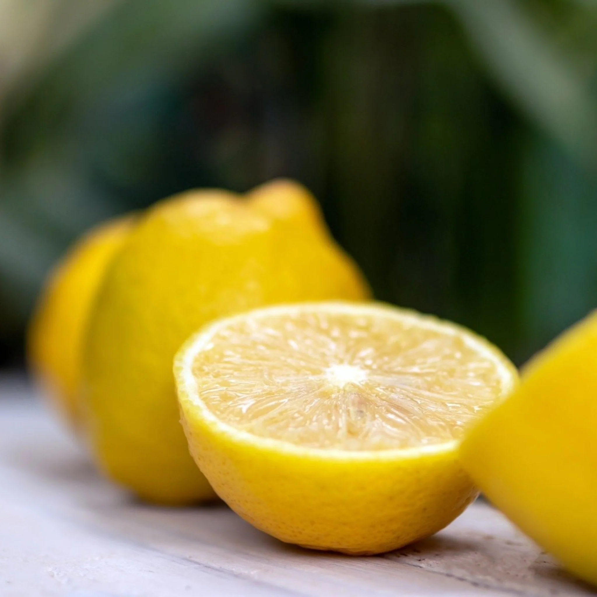 Lisbon Lemon Tree - Image 2