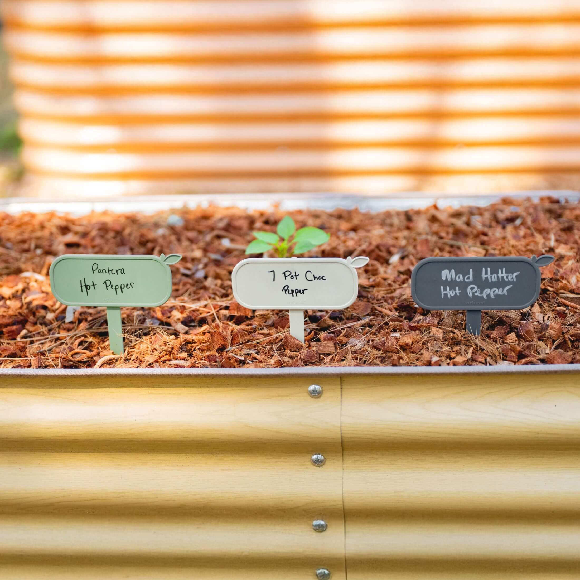 Magnetic Plant Tag - 10 Pack - Image 4