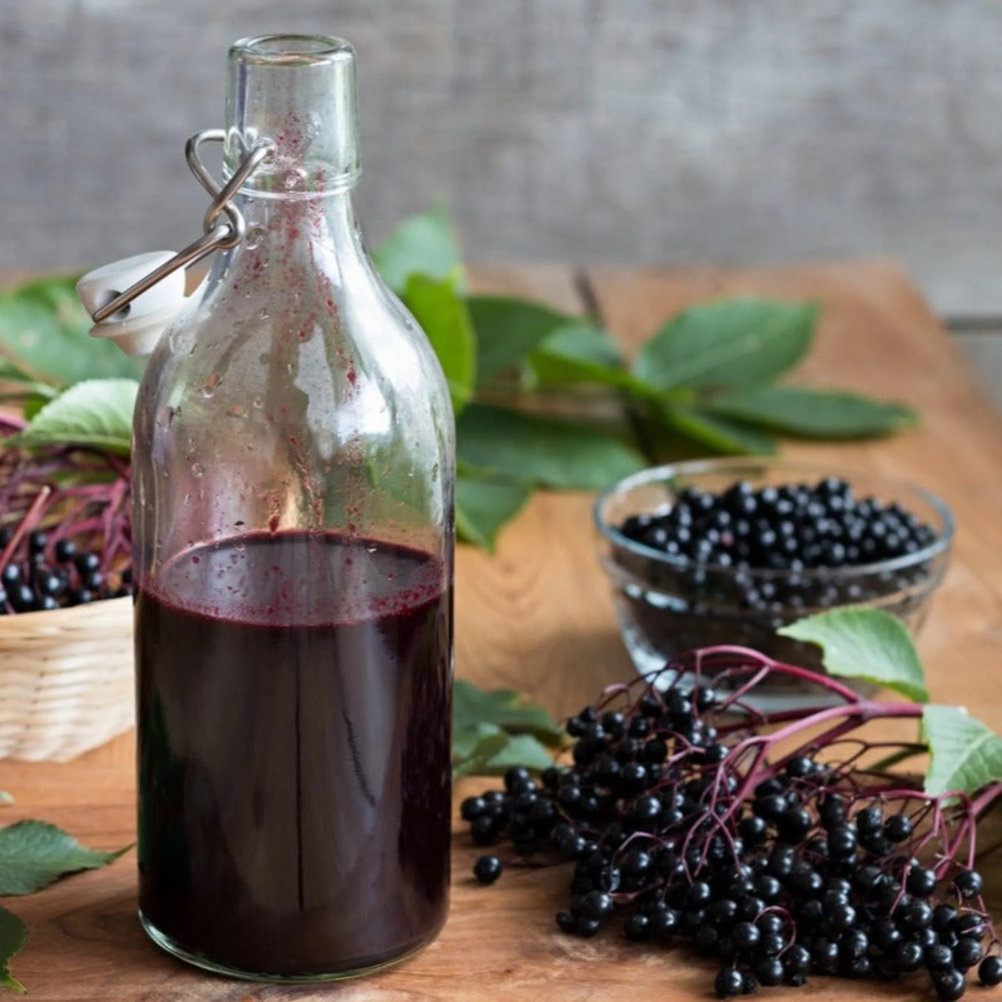 Marge Elderberry - Image 3