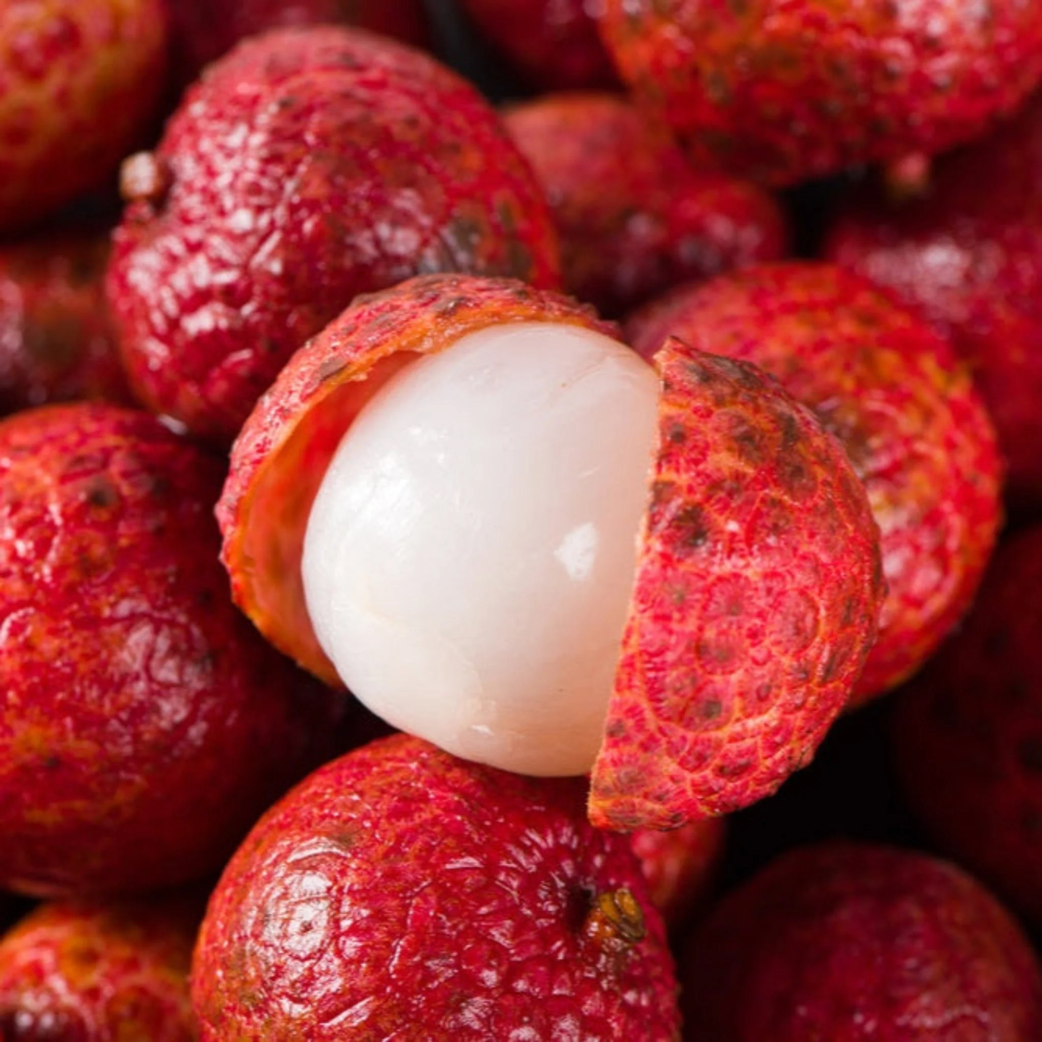 Mauritius Lychee - Image 2