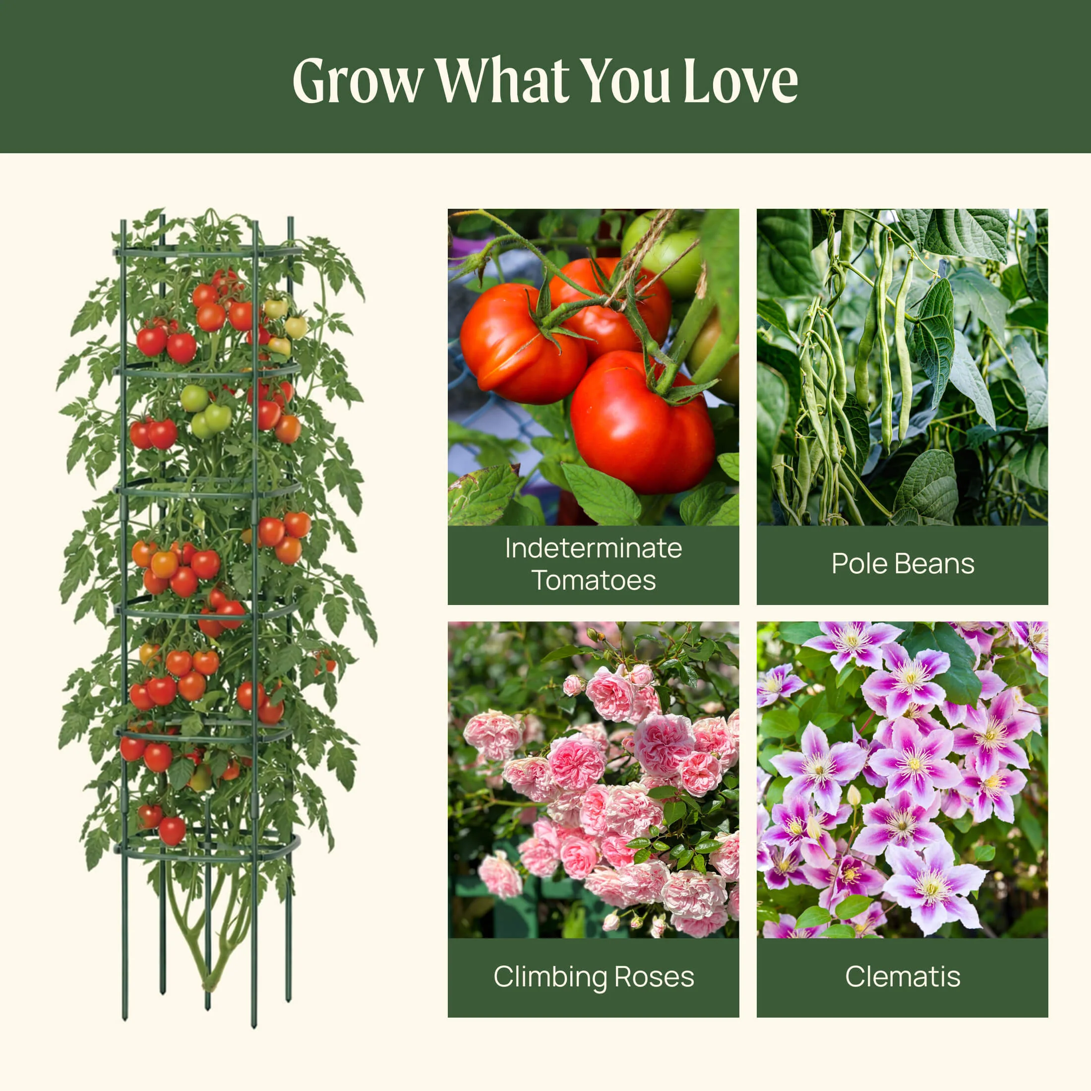 MaxGrow Tomato Tower 3 Tier - 3 Pack - Image 12