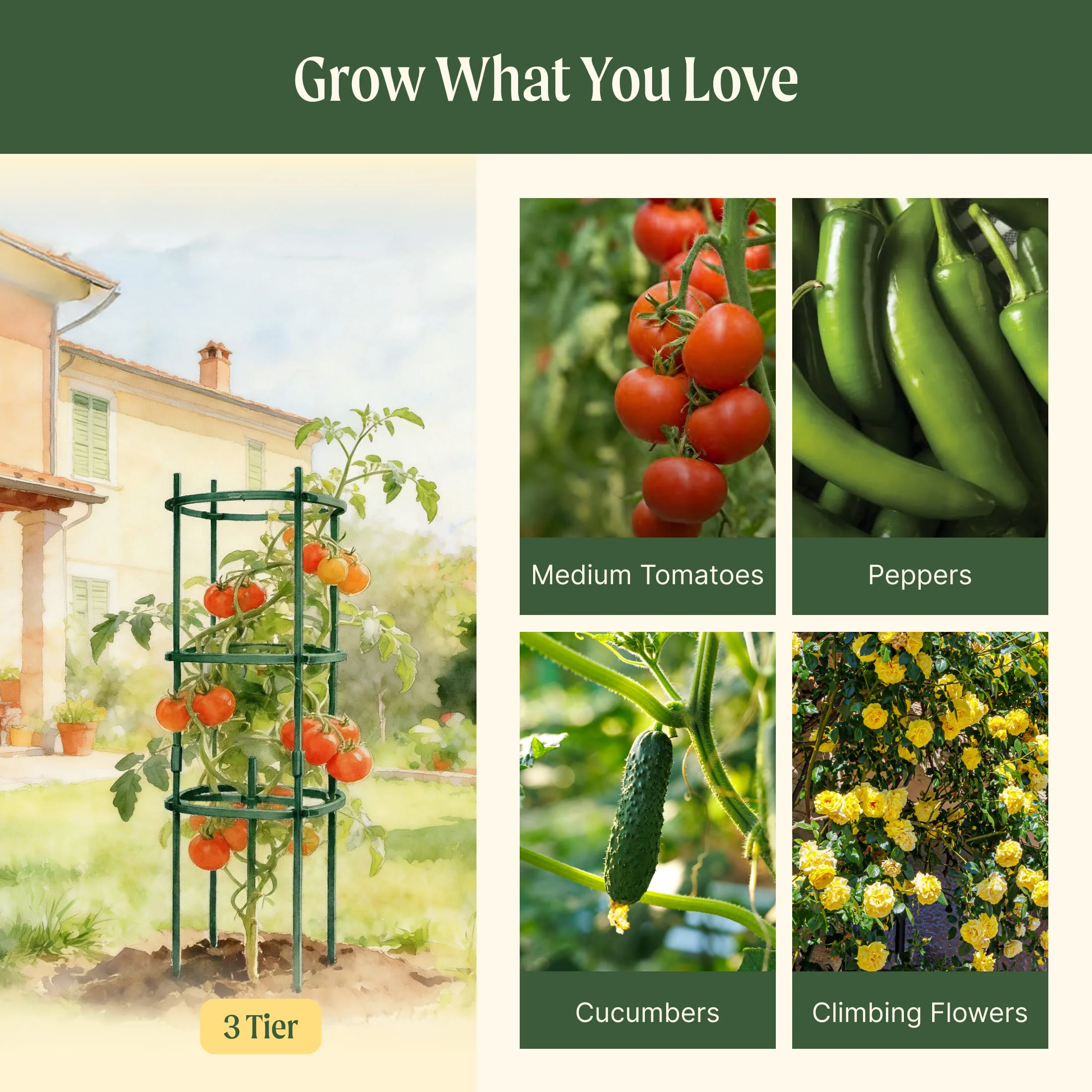 MaxGrow Tomato Tower 3 Tier - 3 Pack - Image 15