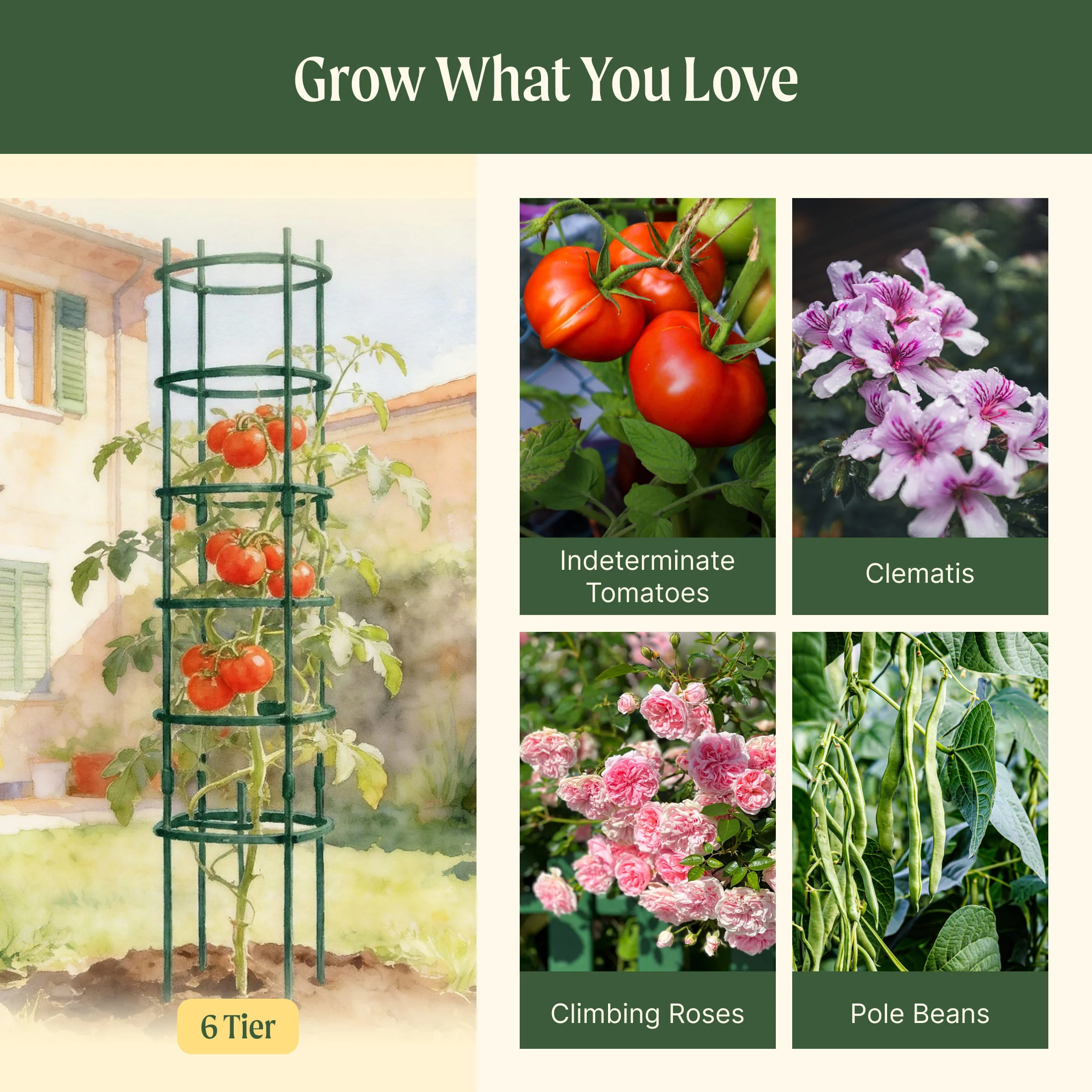 MaxGrow Tomato Tower 3 Tier - 3 Pack - Image 20