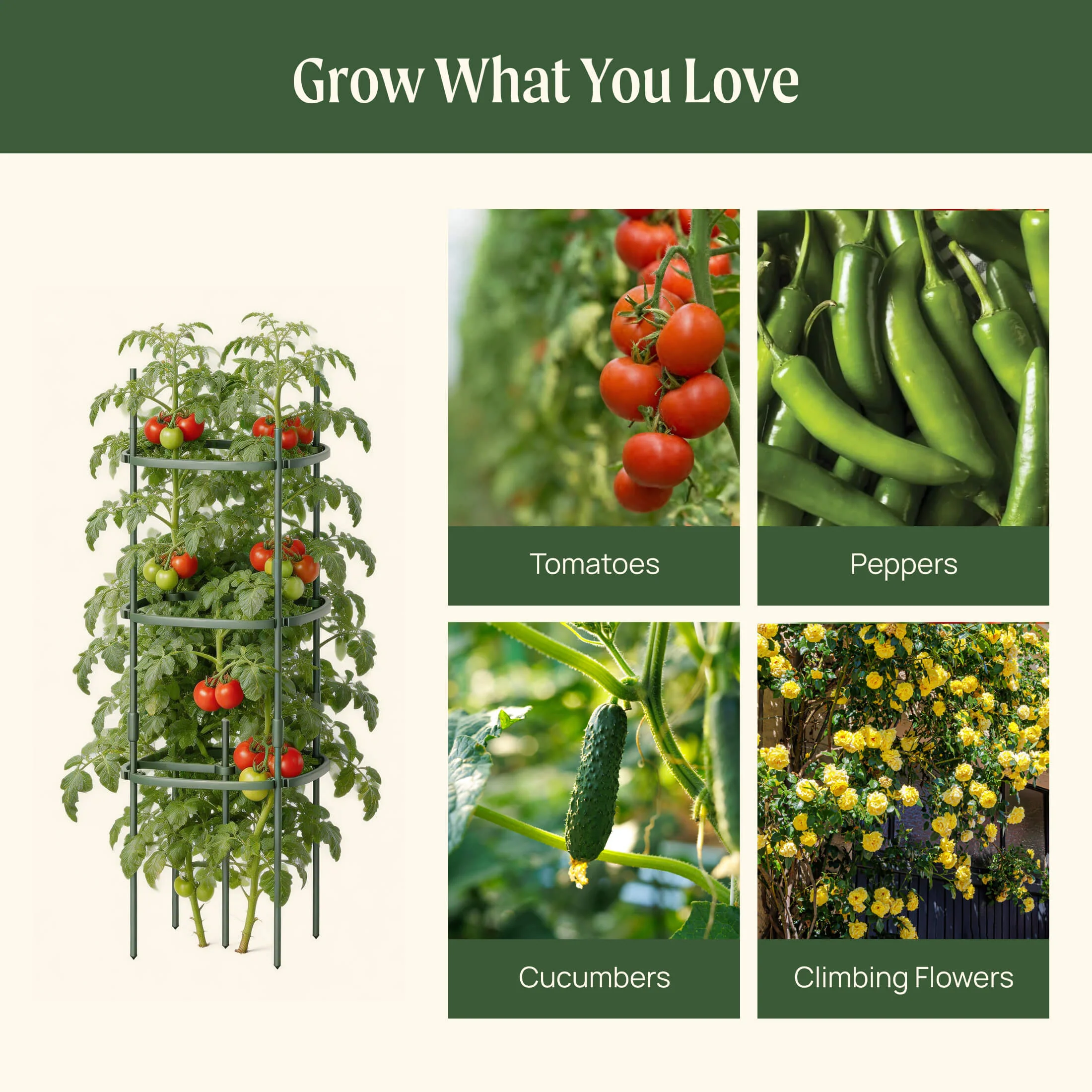 MaxGrow Tomato Tower 3 Tier - 3 Pack - Image 8