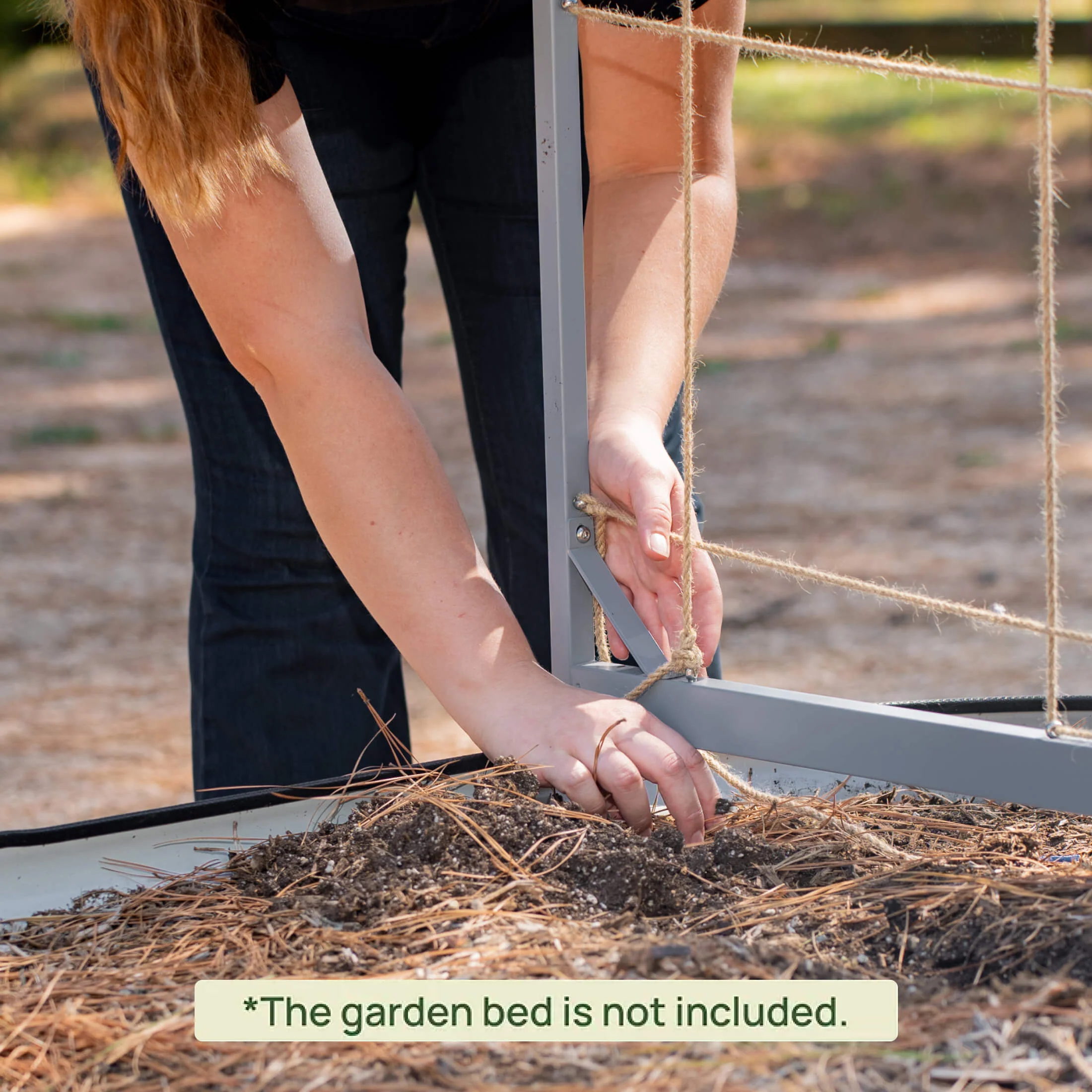 Metal Frame String Trellis - Image 17