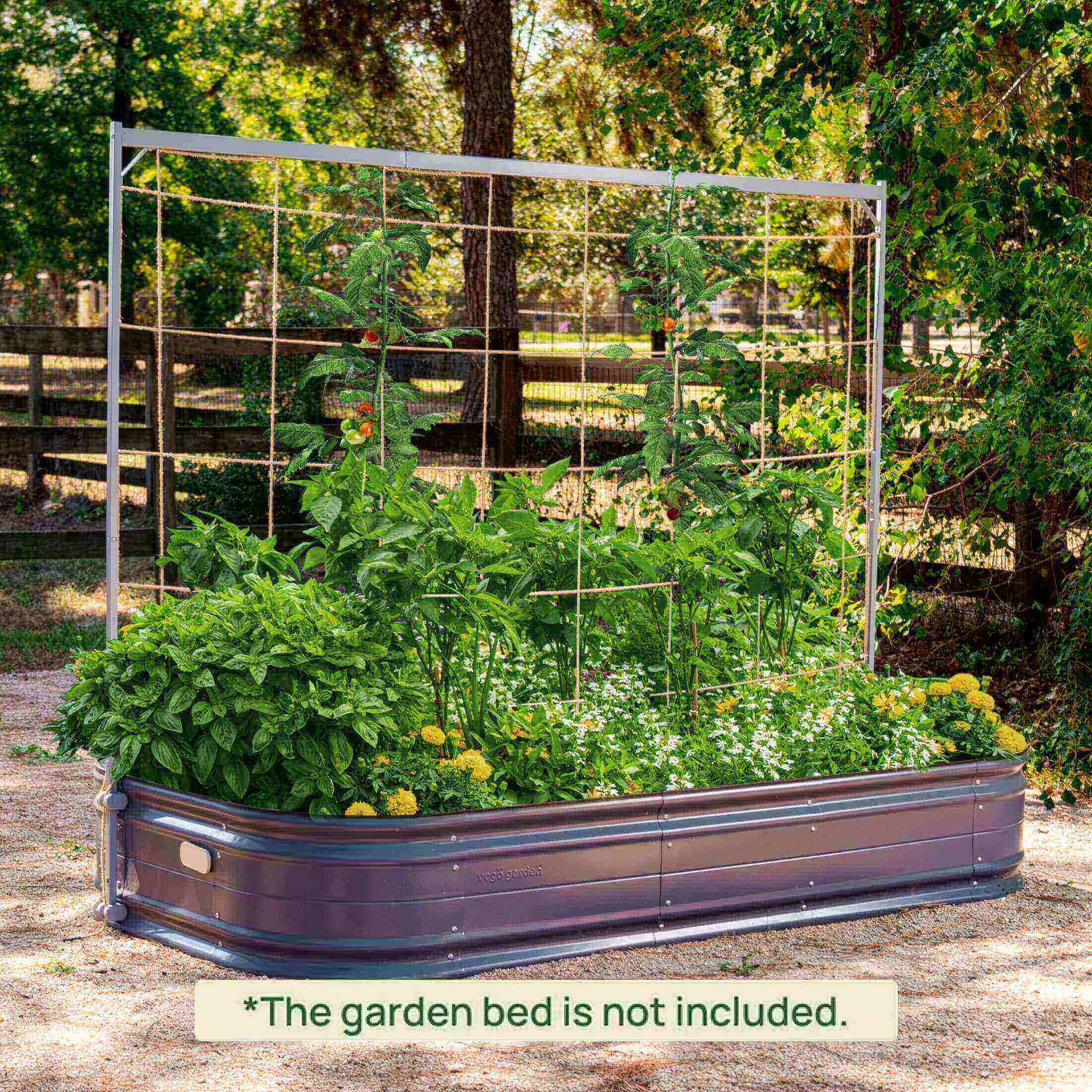 Metal Frame String Trellis - Image 18