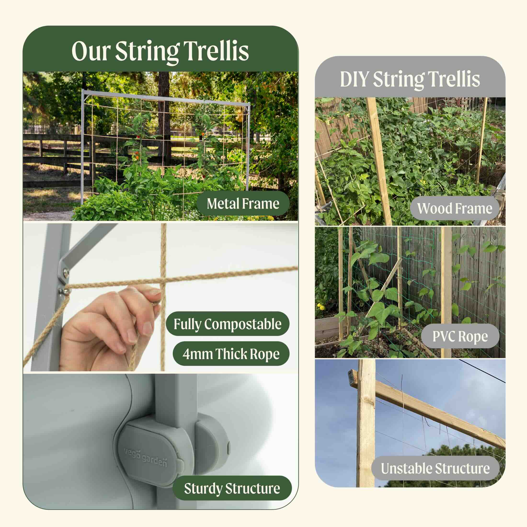Metal Frame String Trellis - Image 6