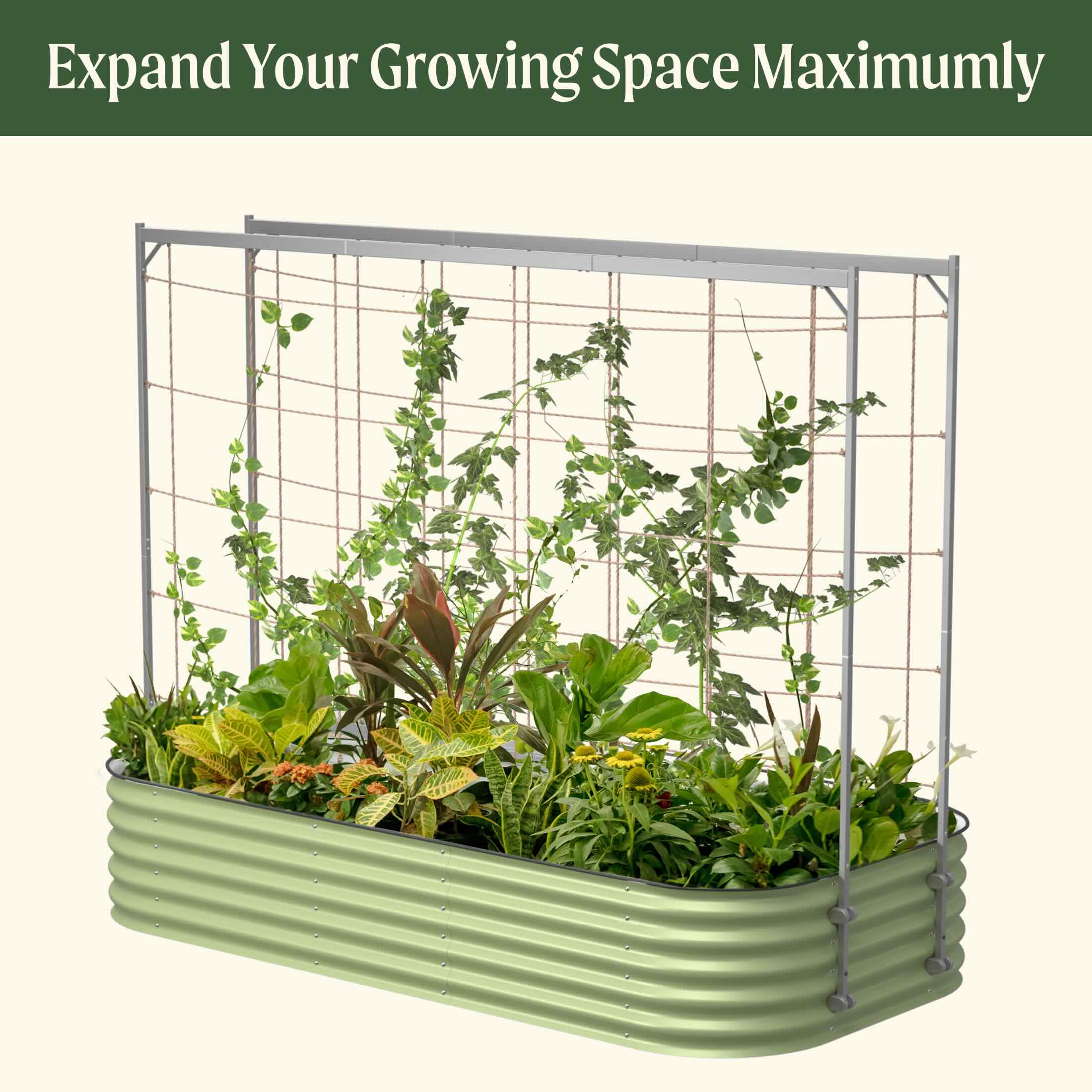 Metal Frame String Trellis - Image 9