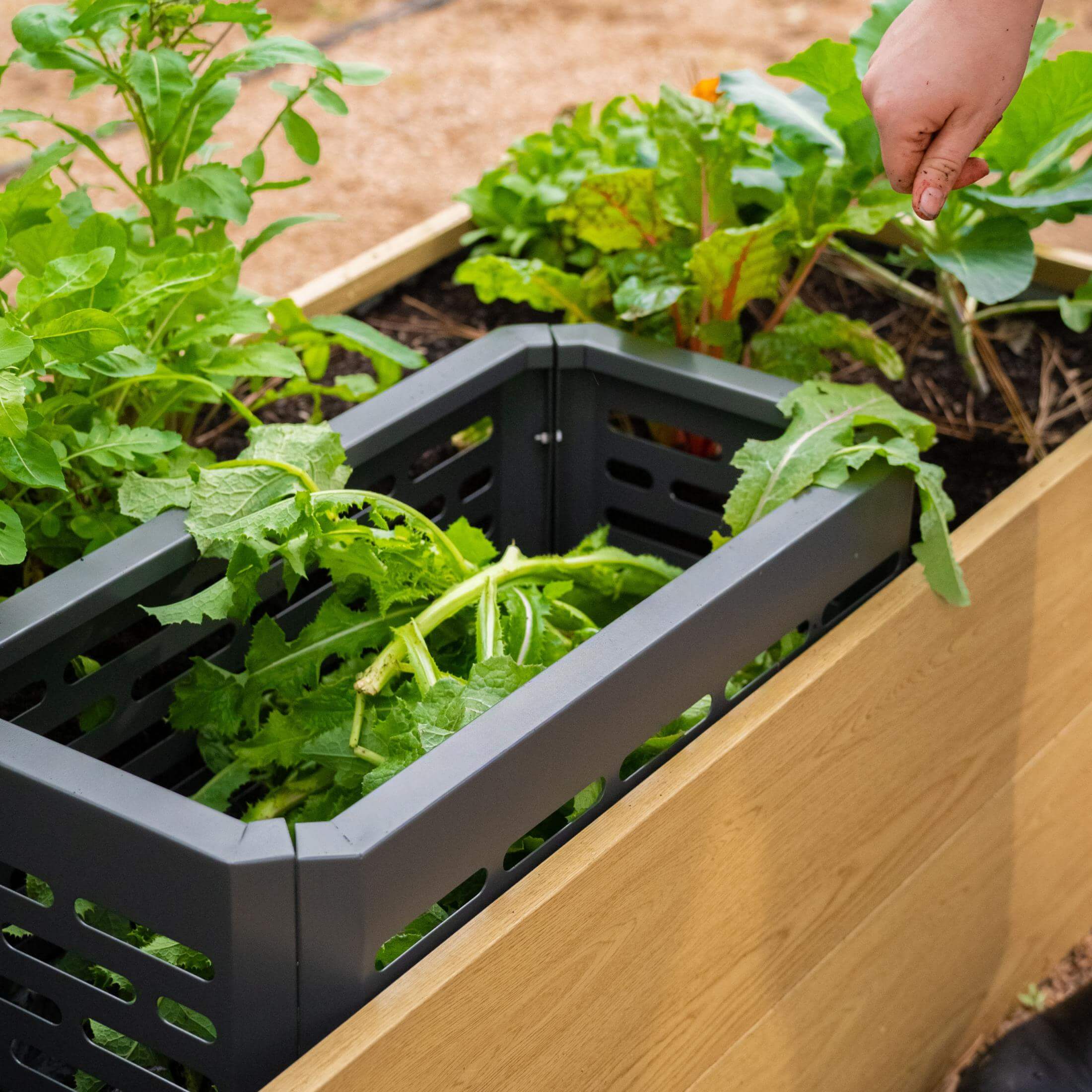 In-Bed Composter - Image 3