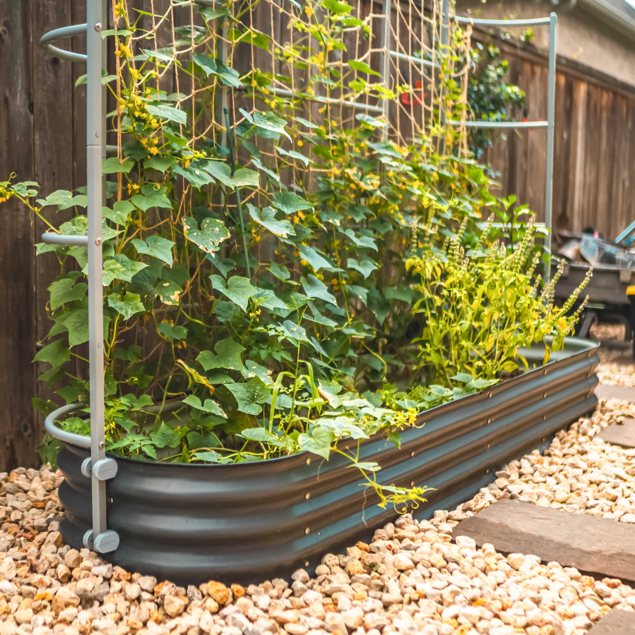 Wall Trellis System - Image 18