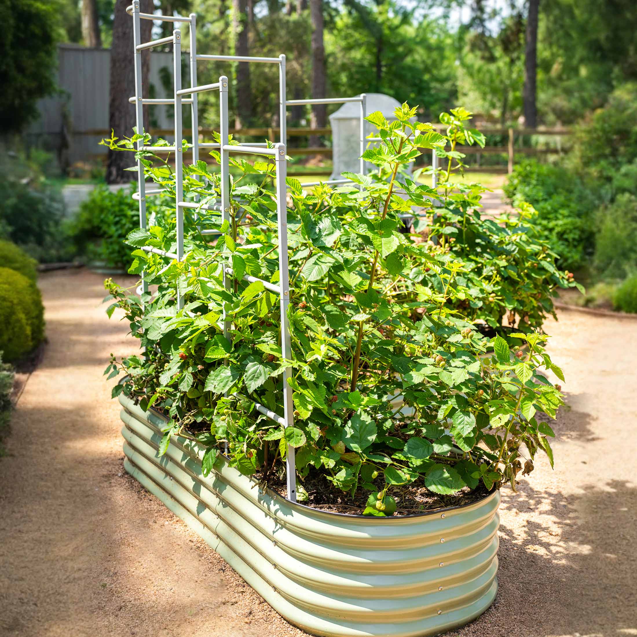 Wall Trellis System - Image 20