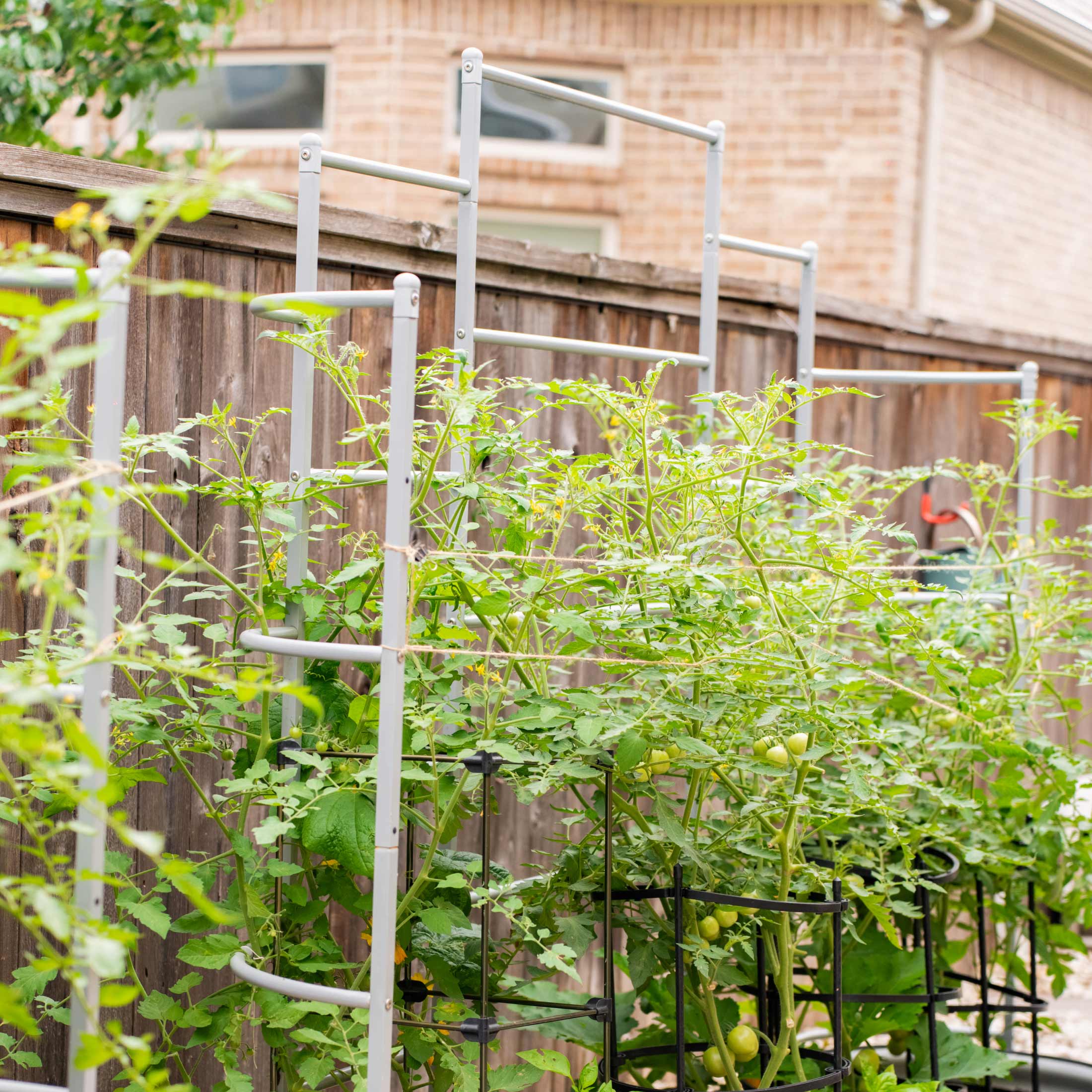 Wall Trellis System - Image 21