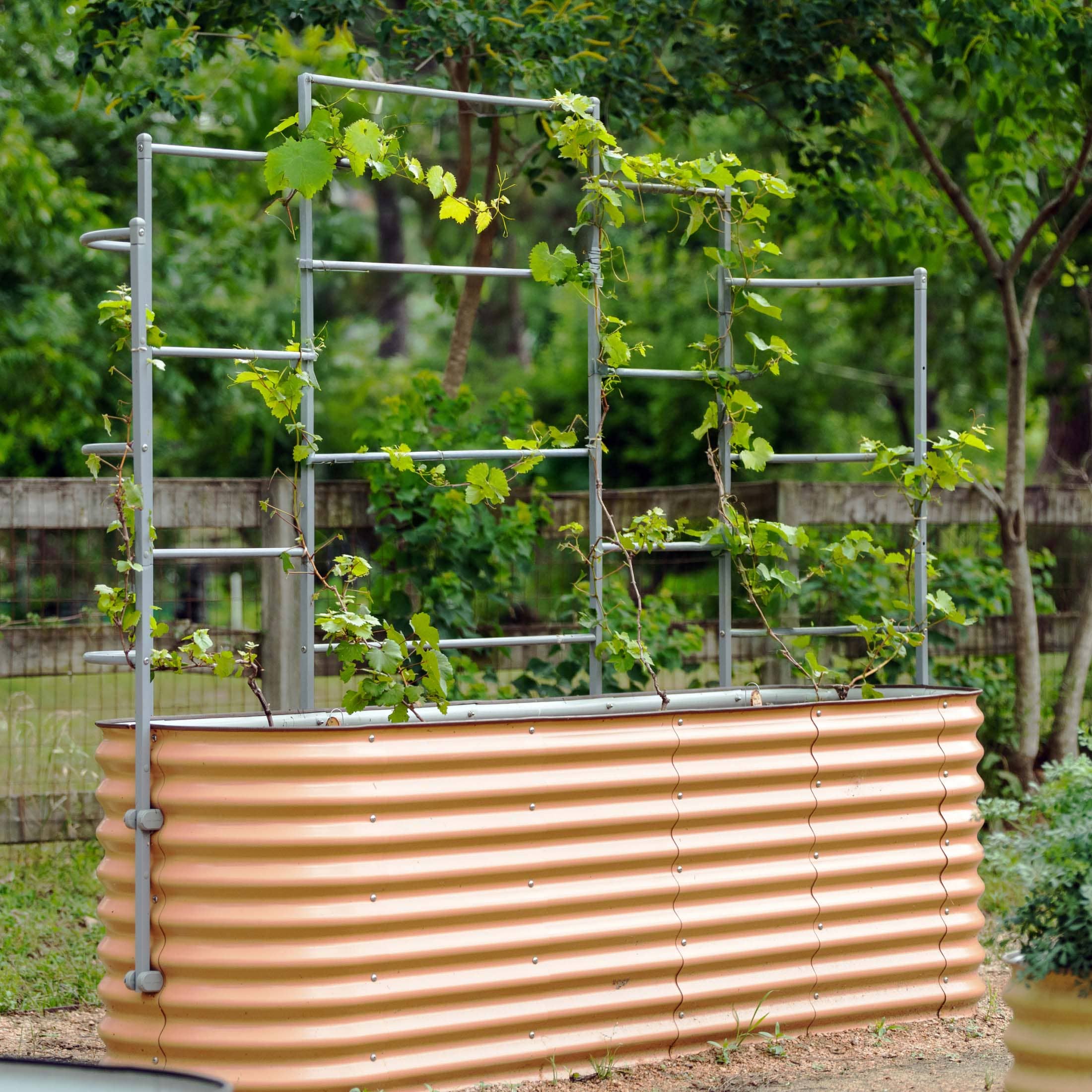 Wall Trellis System - Image 22