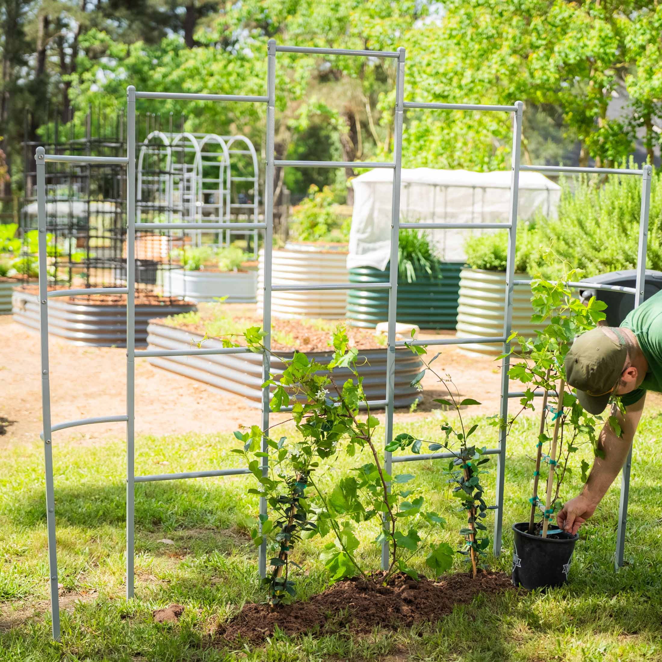 Wall Trellis System - Image 29