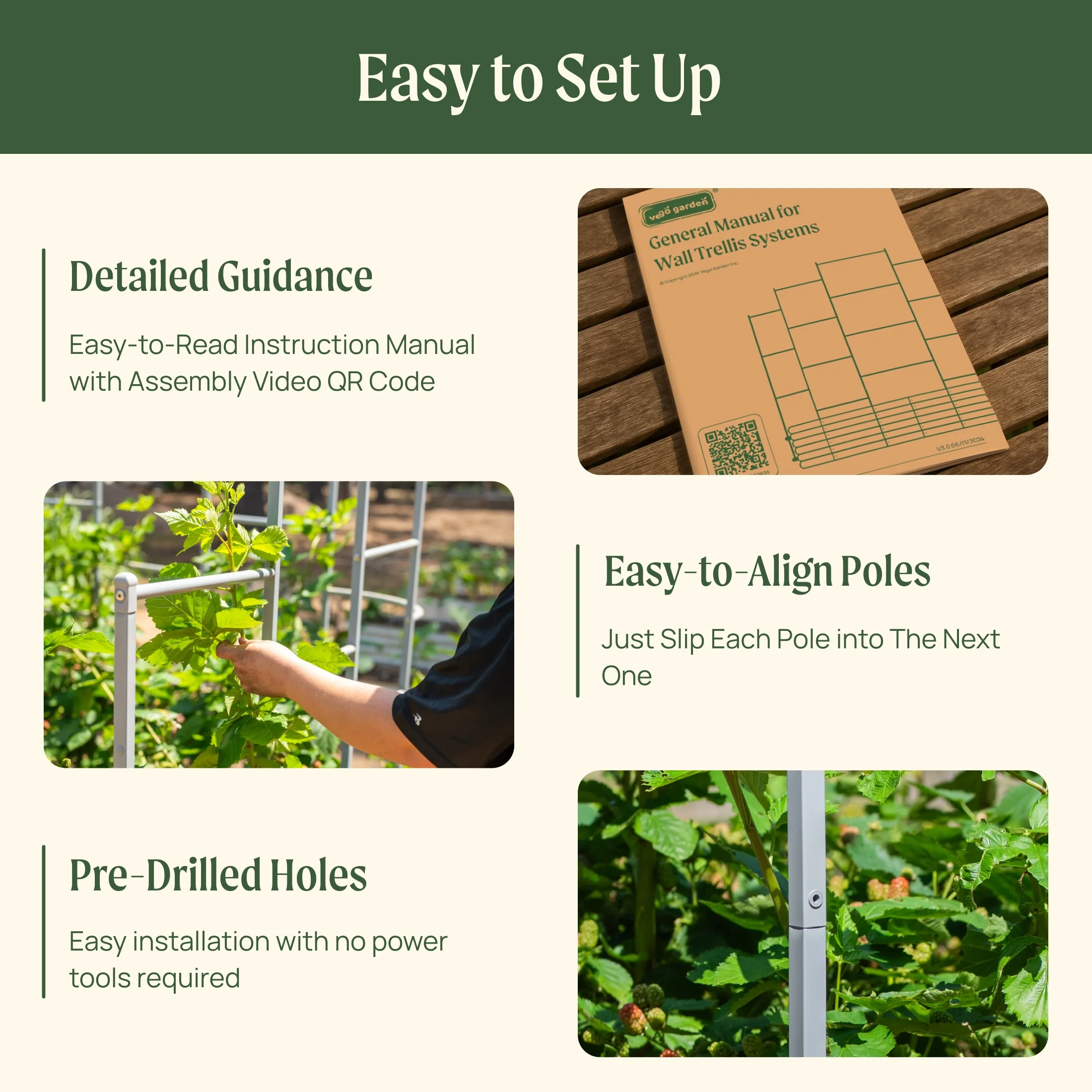 Wall Trellis System - Image 3