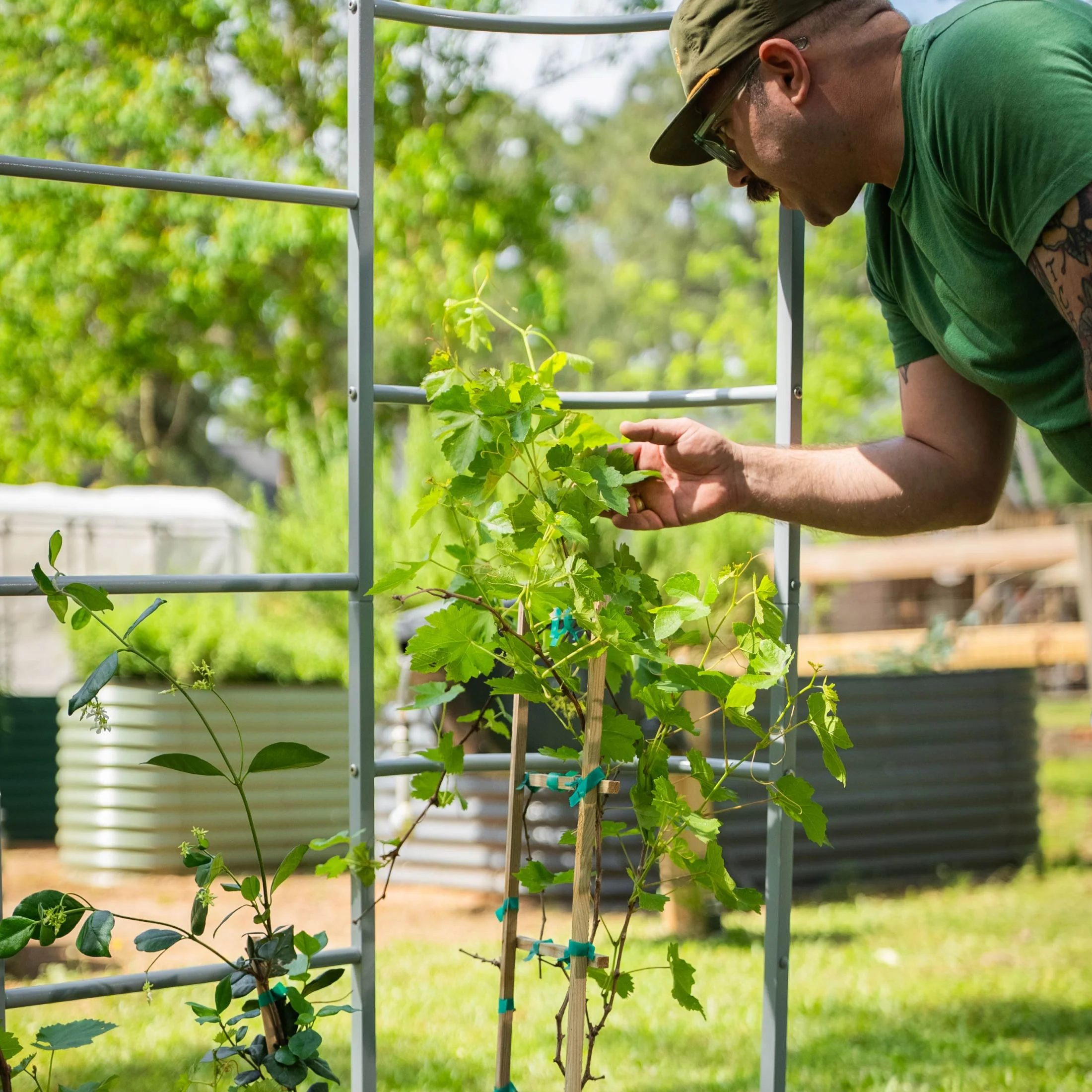 Wall Trellis System - Image 30