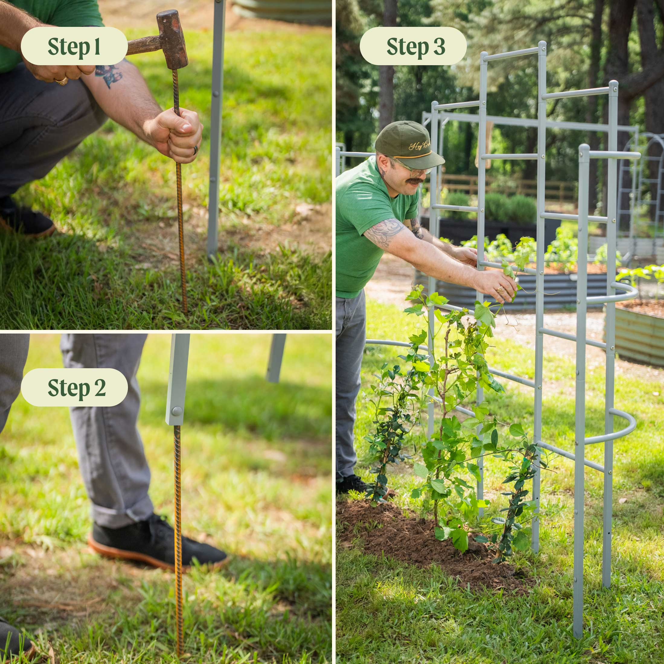 Wall Trellis System - Image 31