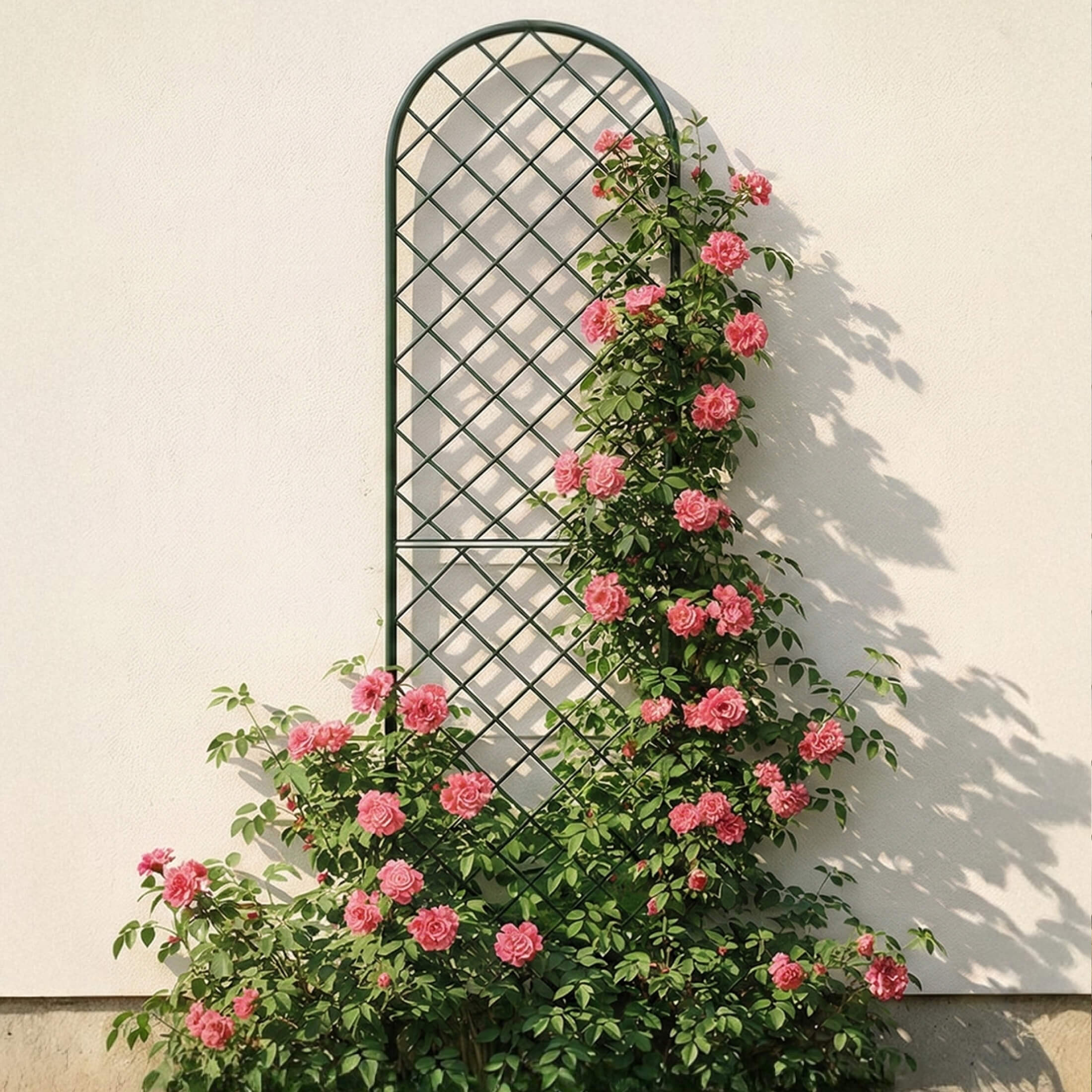 Mounted Wall Trellis - Image 5