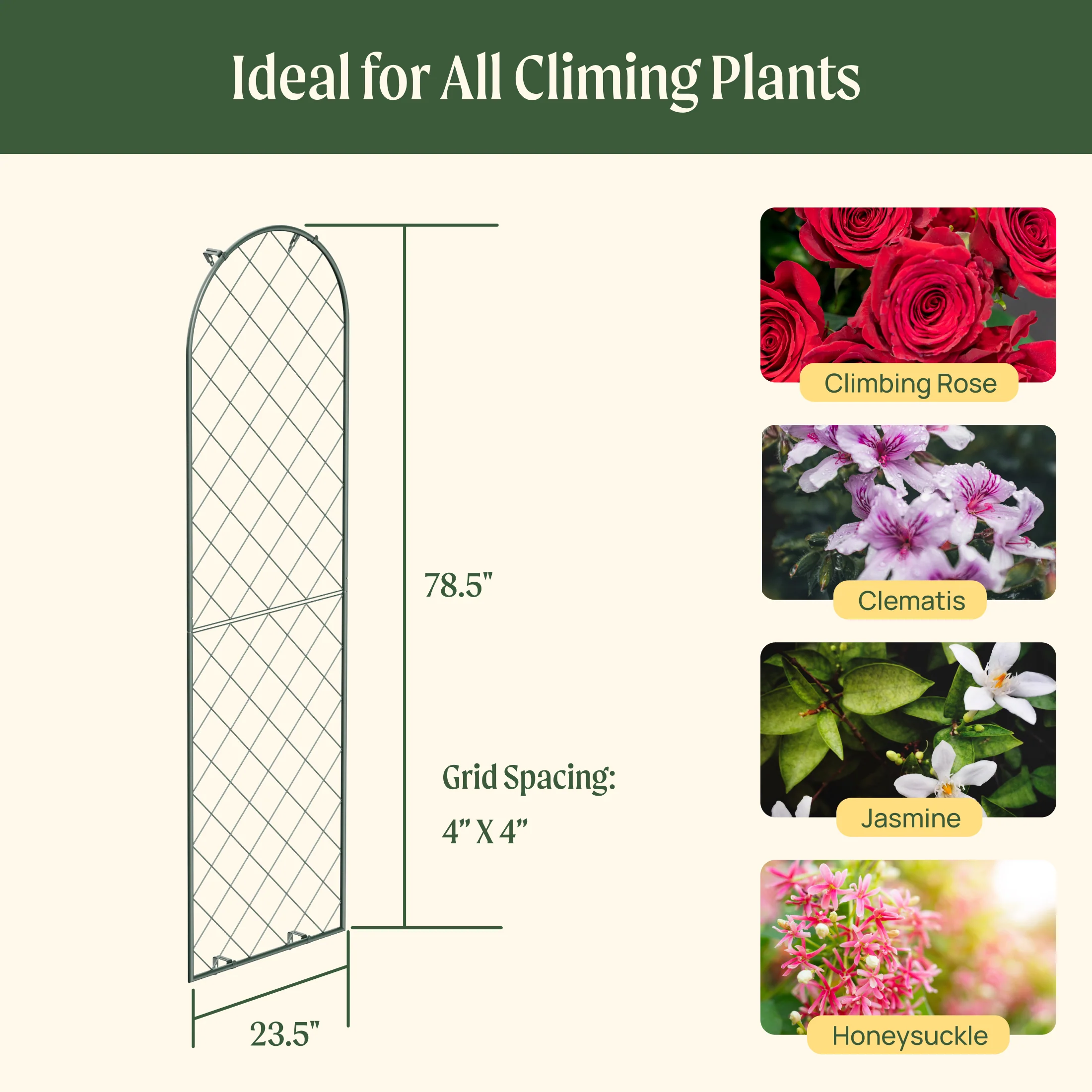 Mounted Wall Trellis - Image 6