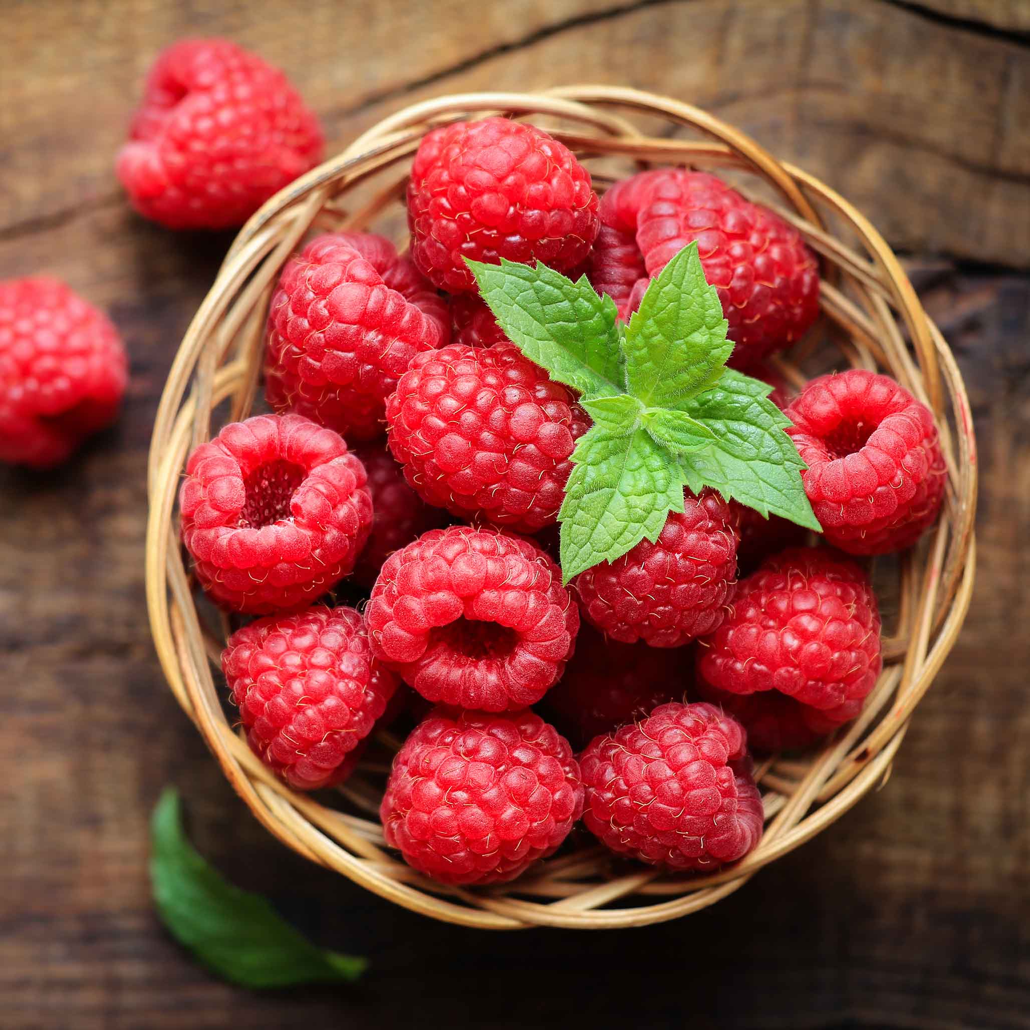 Nova Red Raspberry Plant - Image 2