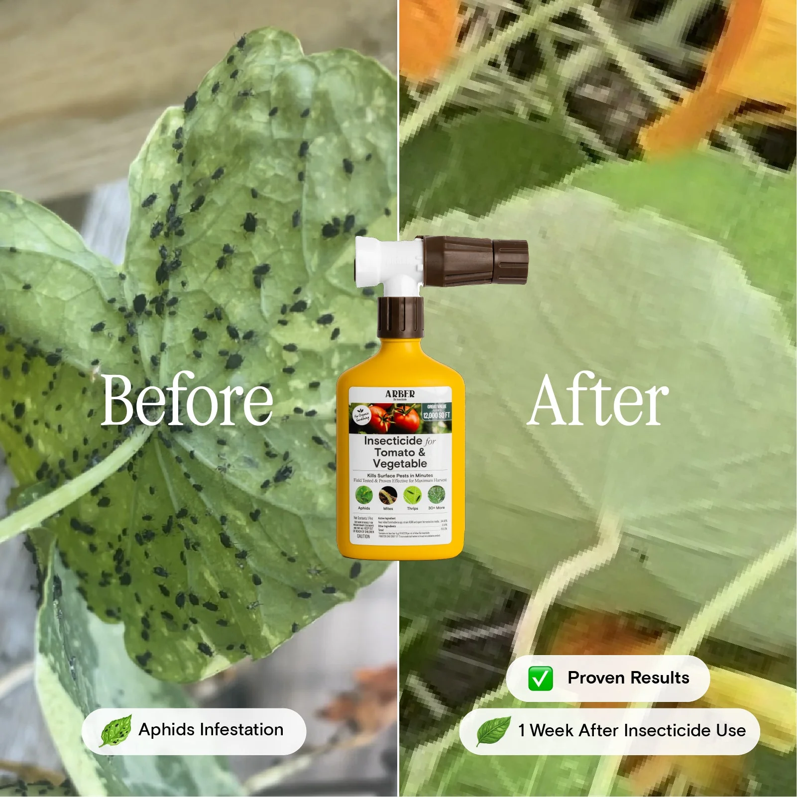 Organic Insecticide for Tomato & Vegetable - Image 4
