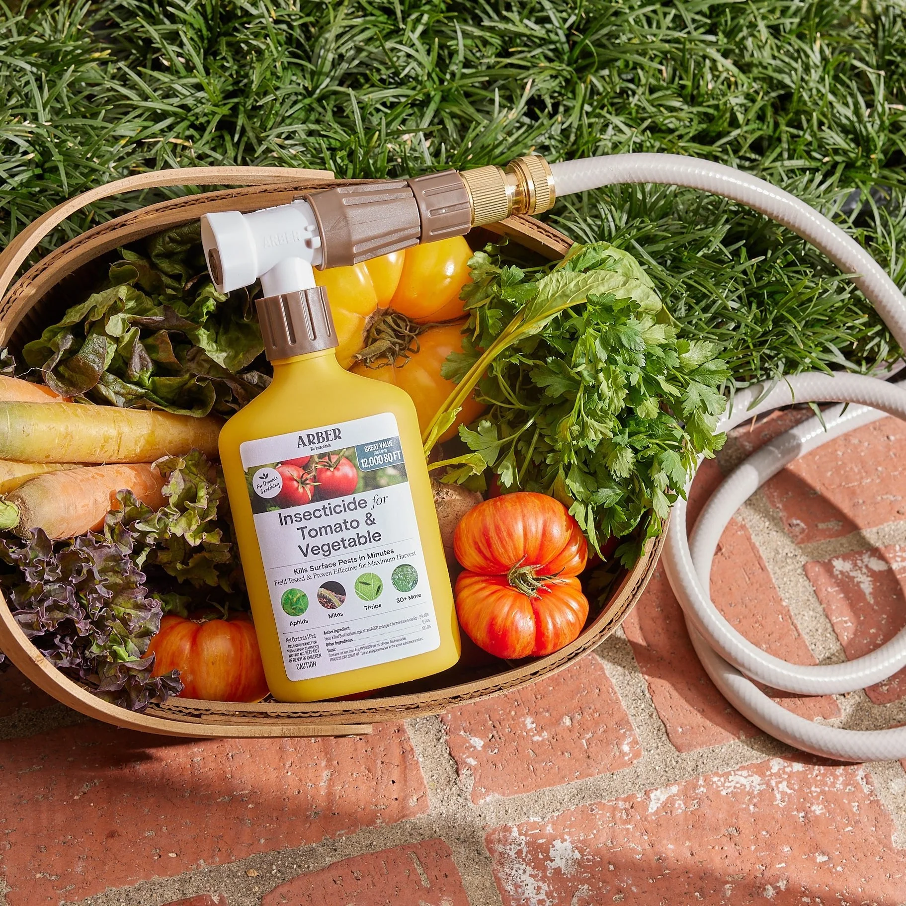 Organic Insecticide for Tomato & Vegetable - Image 5