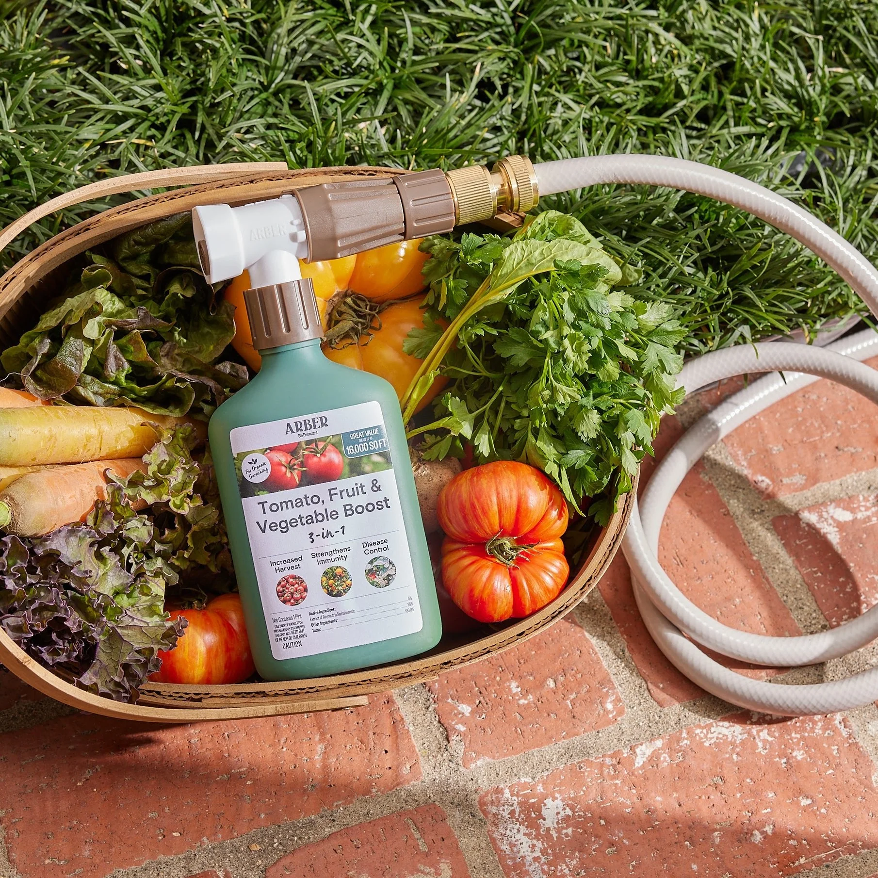 Organic Tomato, Fruit & Vegetable Boost - Image 4