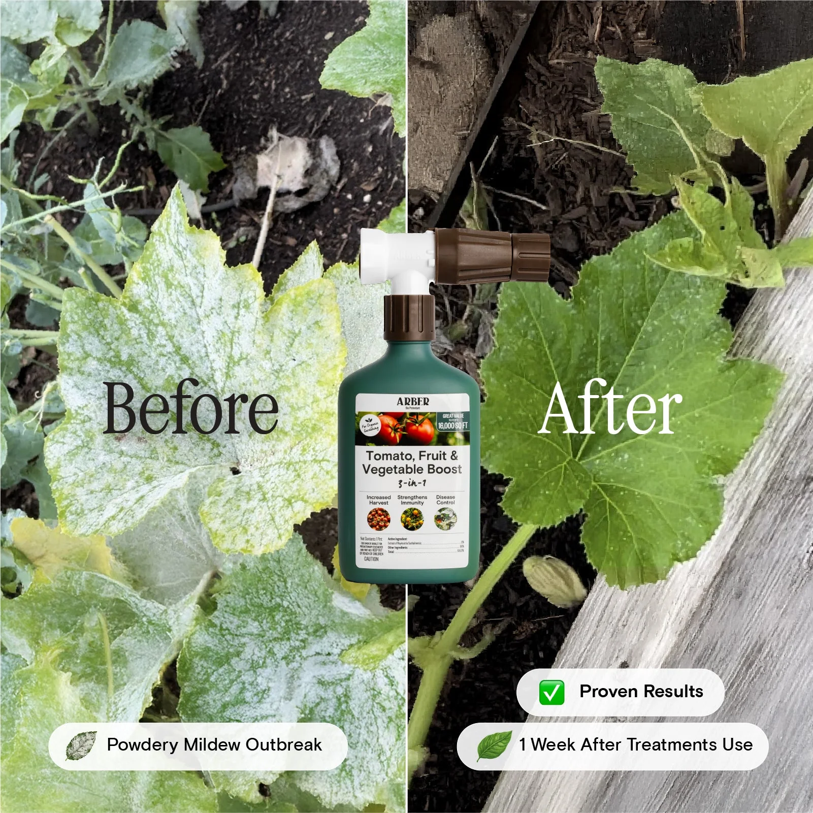 Organic Tomato, Fruit & Vegetable Boost - Image 5