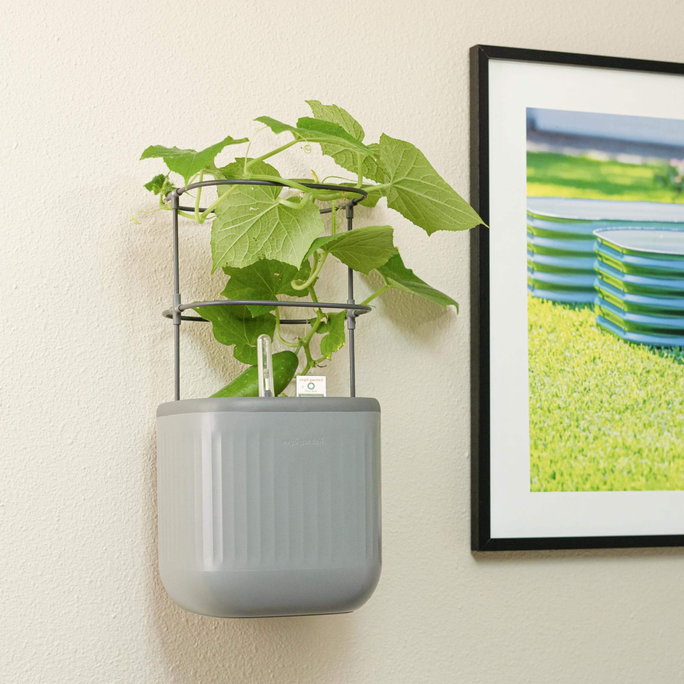 Planter Wall Mount Kit - Image 4