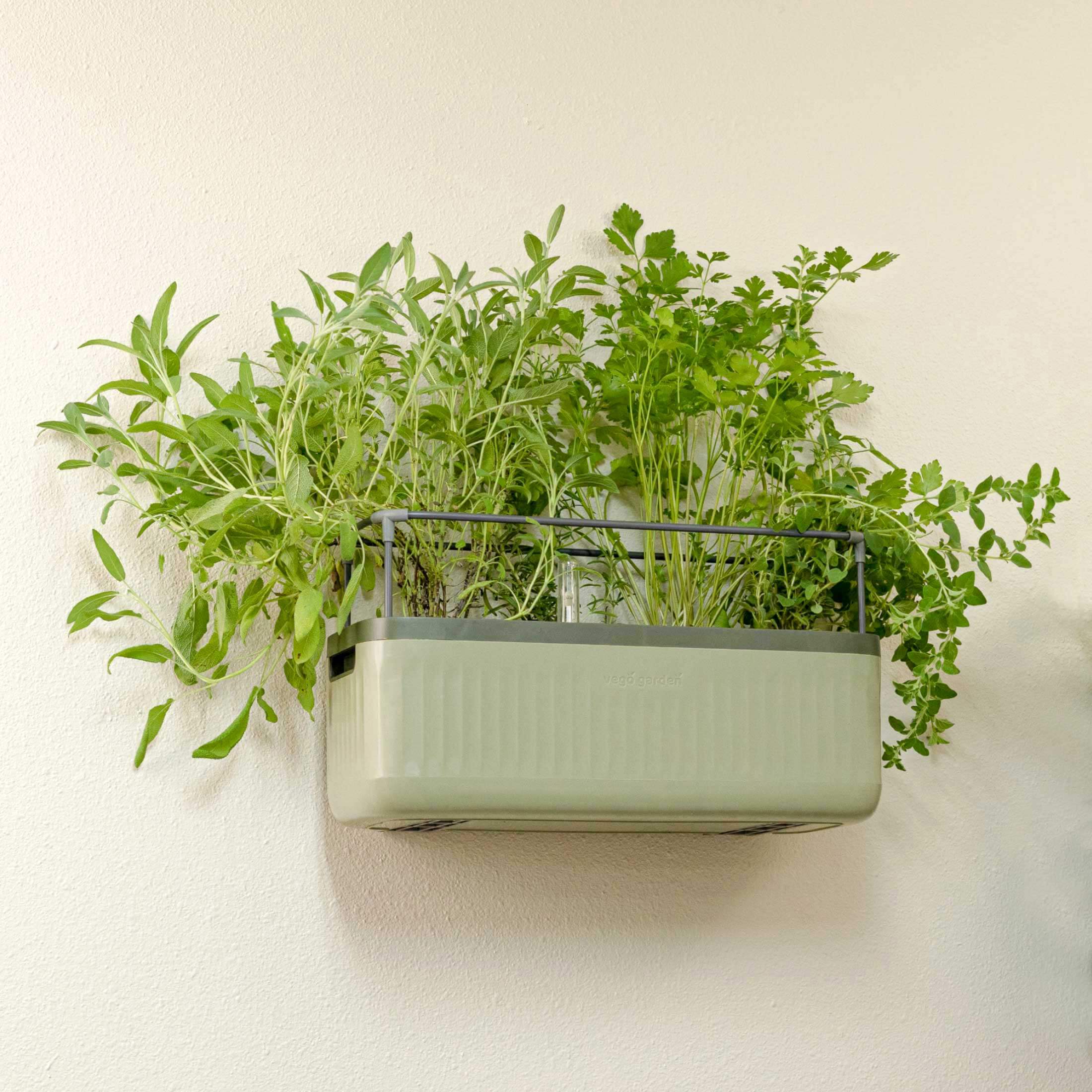 Planter Wall Mount Kit - Image 6