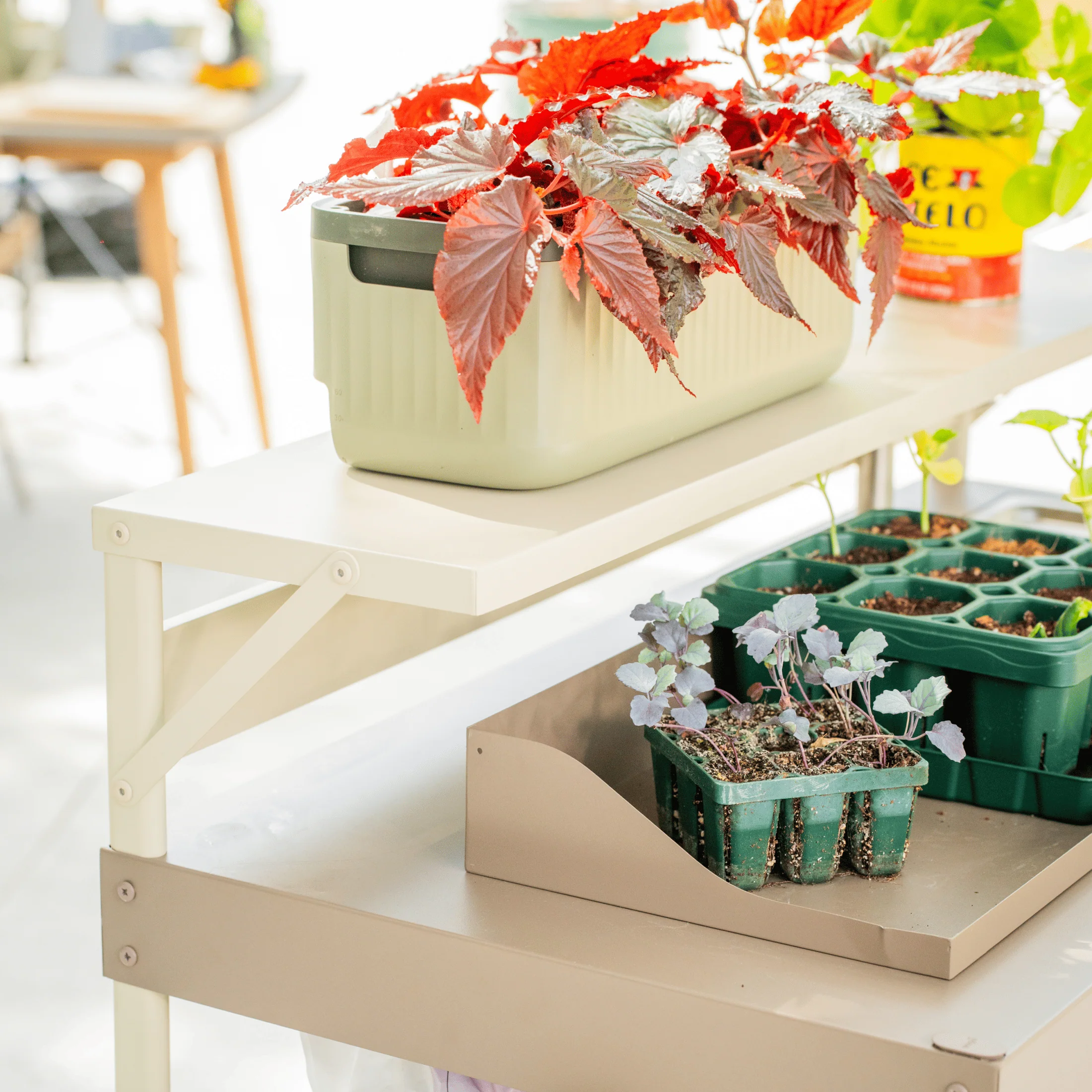 Potting Bench Bar Top Shelf - Image 5